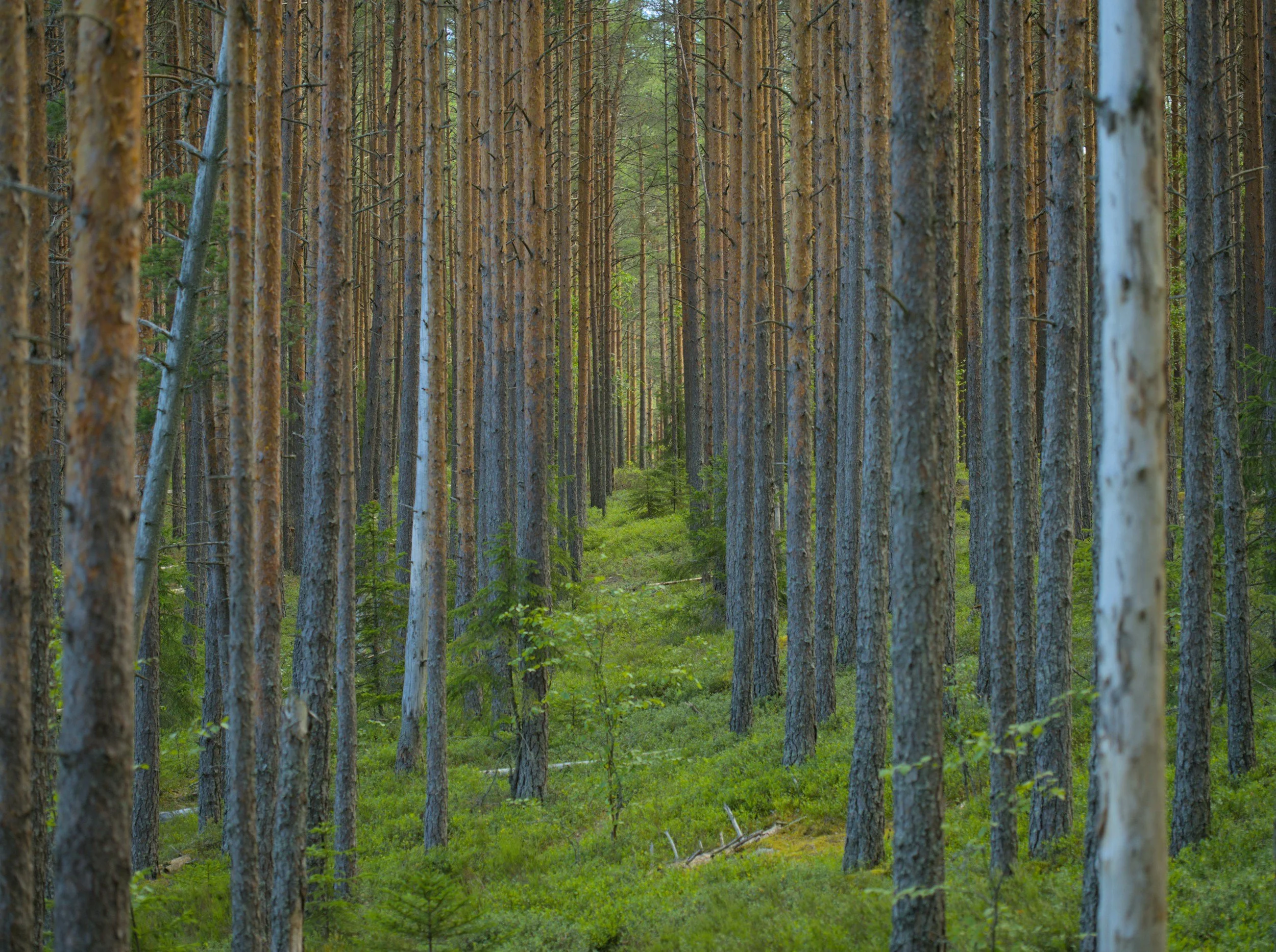 Healthy Boundaries Are Good Customer Service