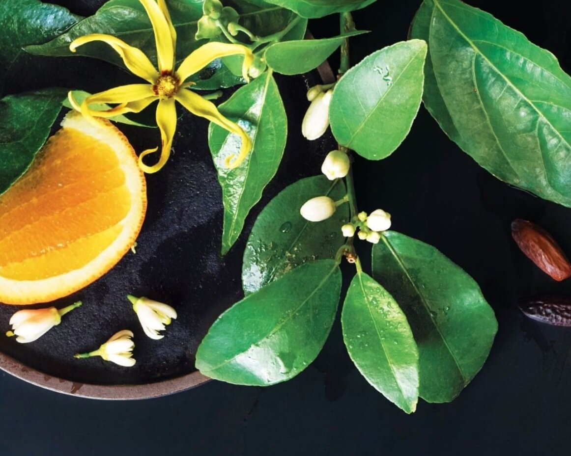 Inspire Hair and Skin