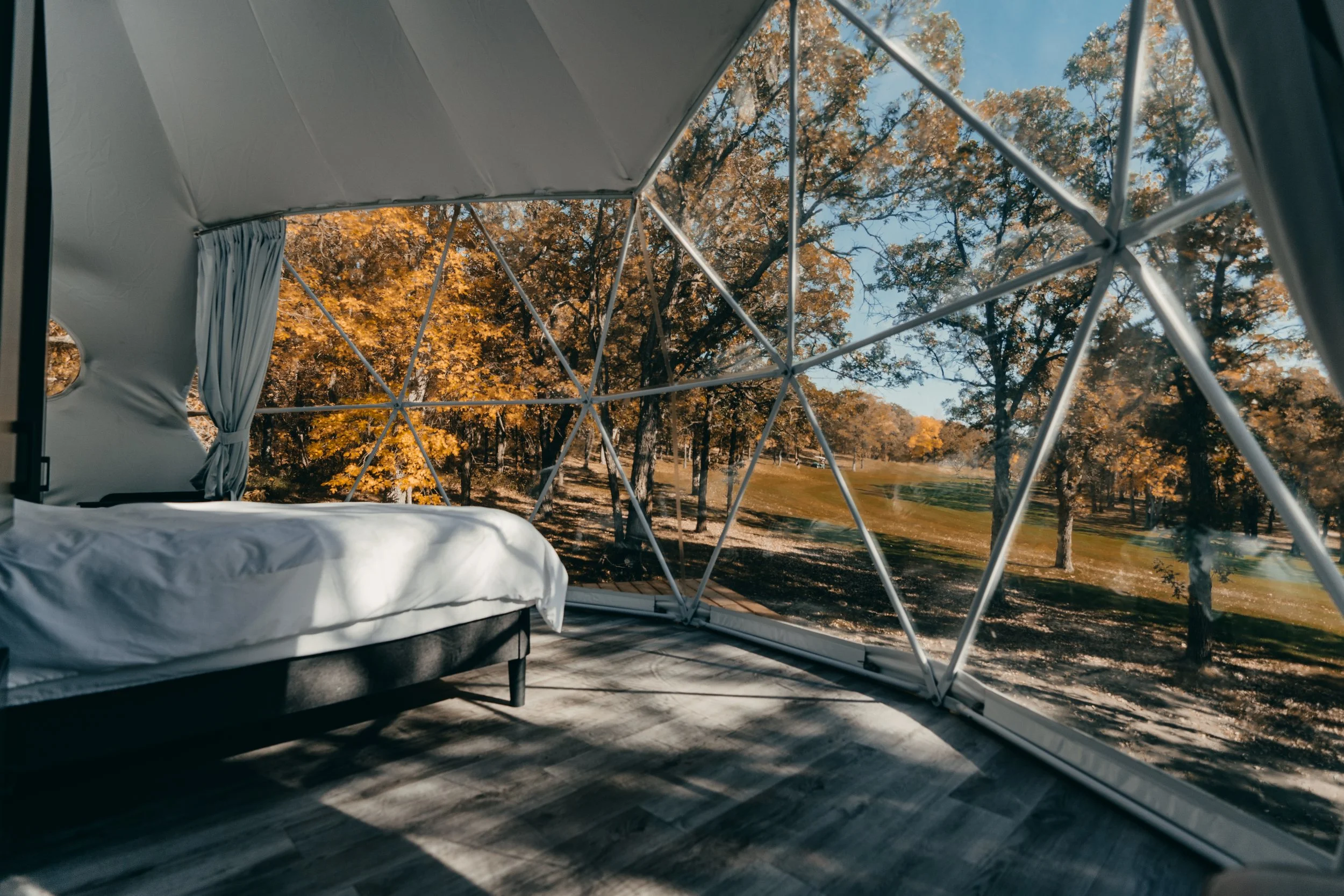 Why Fall Might Be the Best Time to Visit Moonlit Canopy