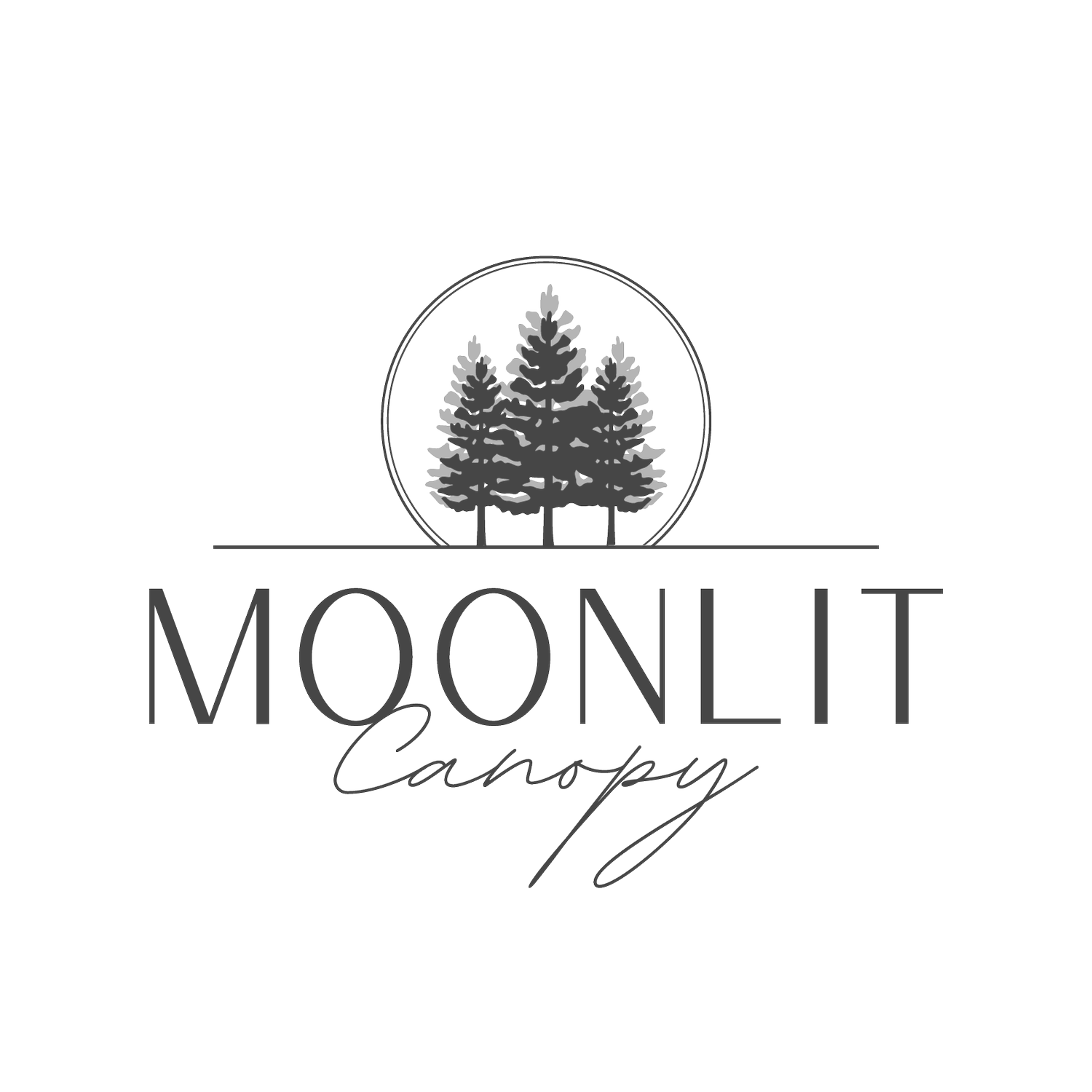 Moonlit Canopy