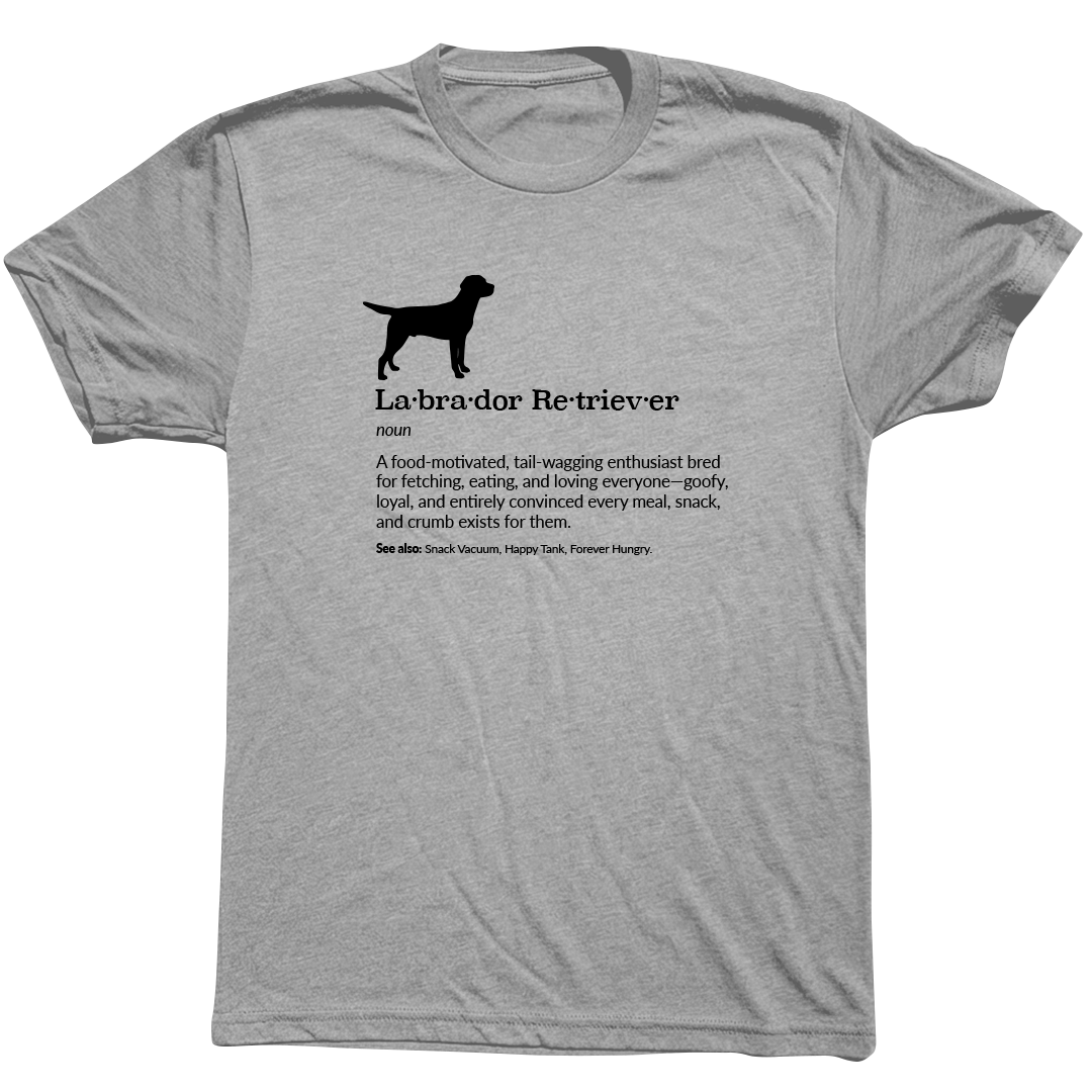 Labrador Retriever