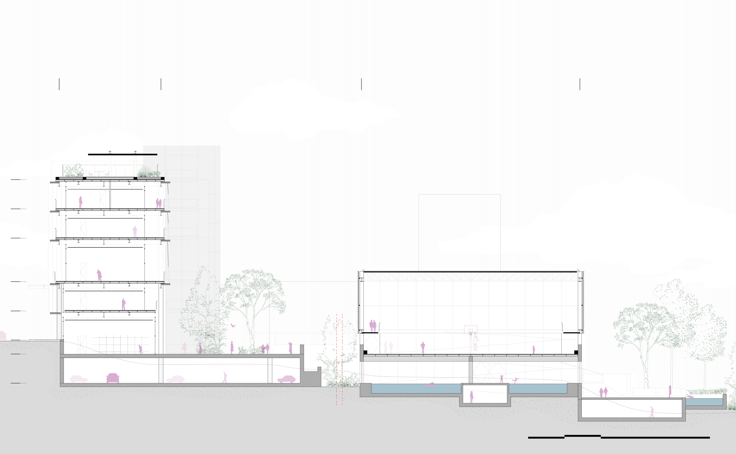 250702_SESC_Corte-02.png