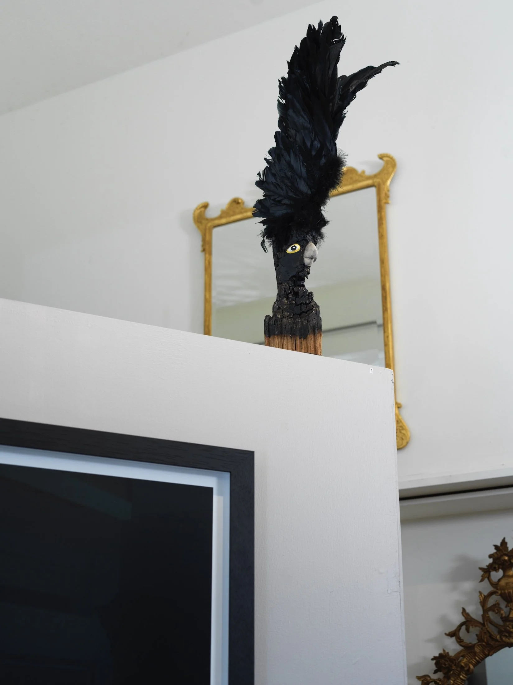 Metamorphosis 2024 in contemplation from his perch up high