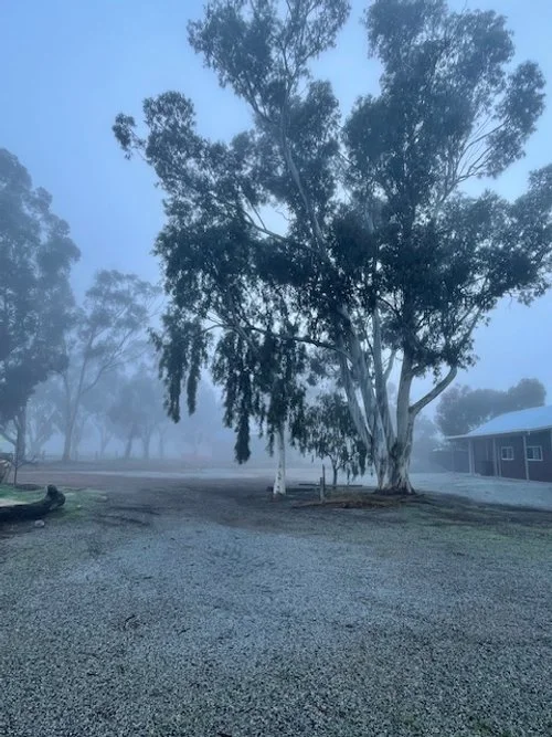 Frosty morning Hotel grounds