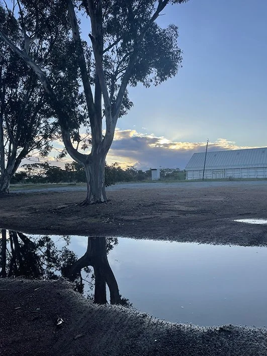 View sunset after rain