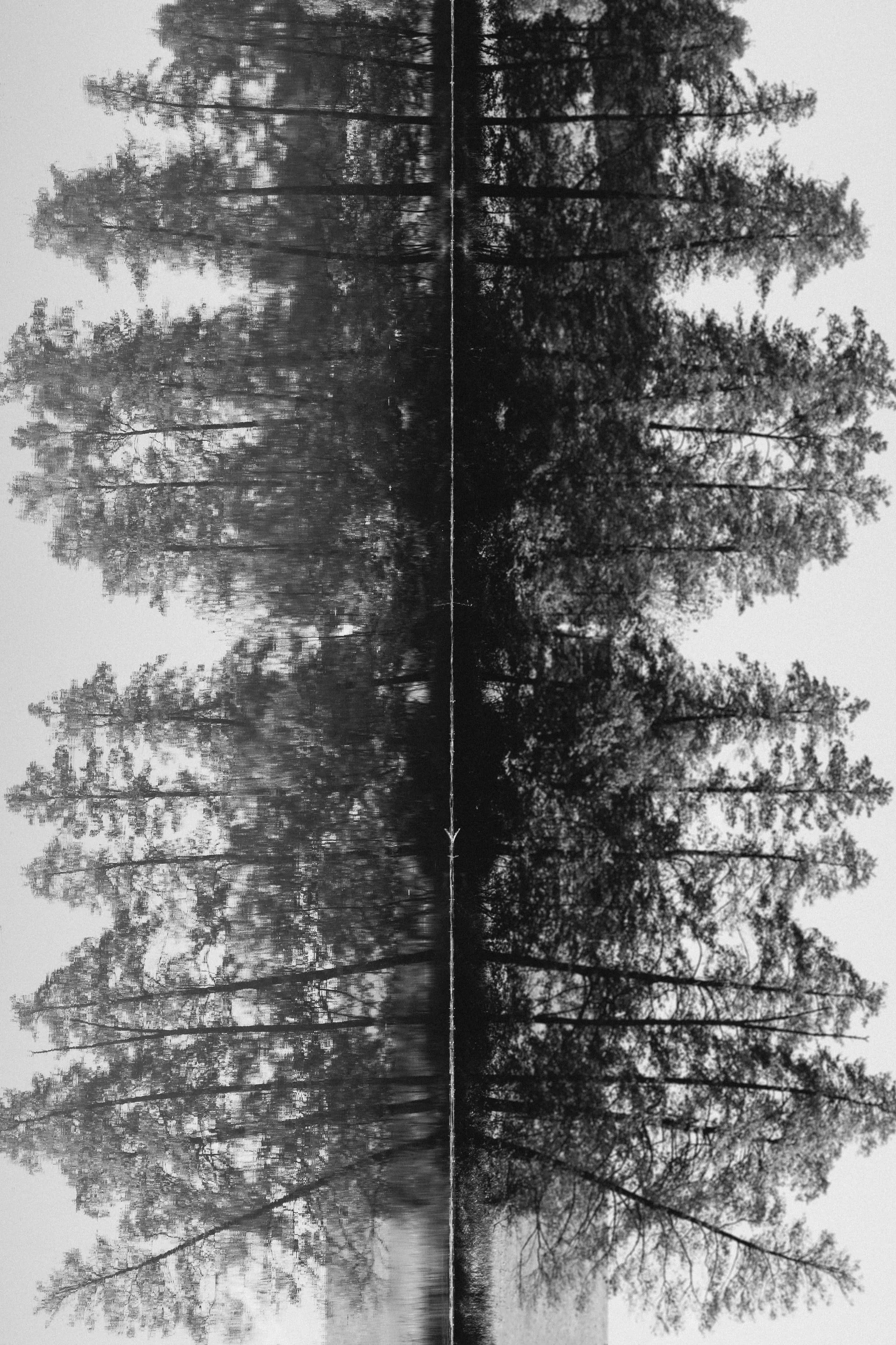 Book Club: Self Observation