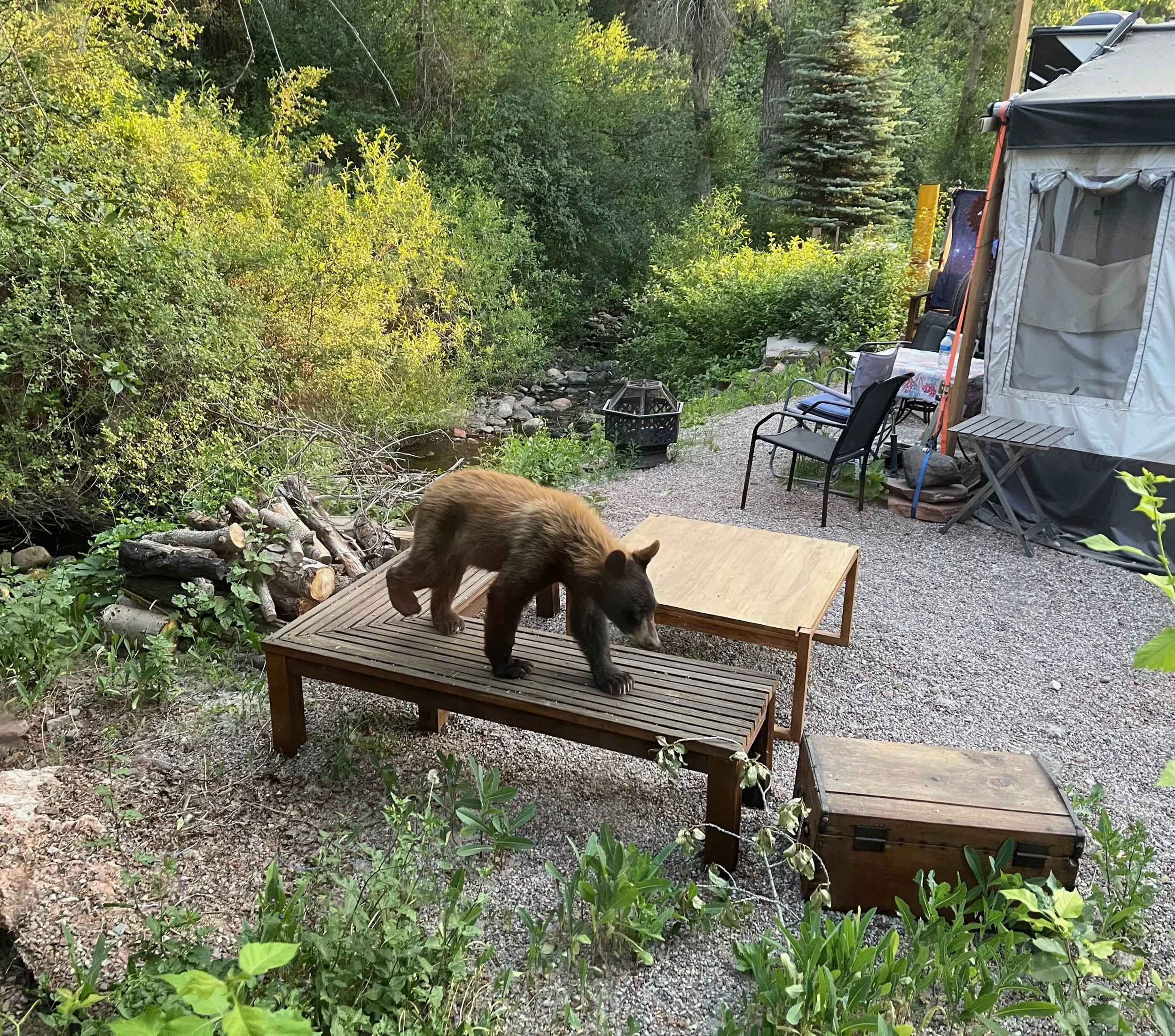 Outside my place in Glenwood Springs, Colorado