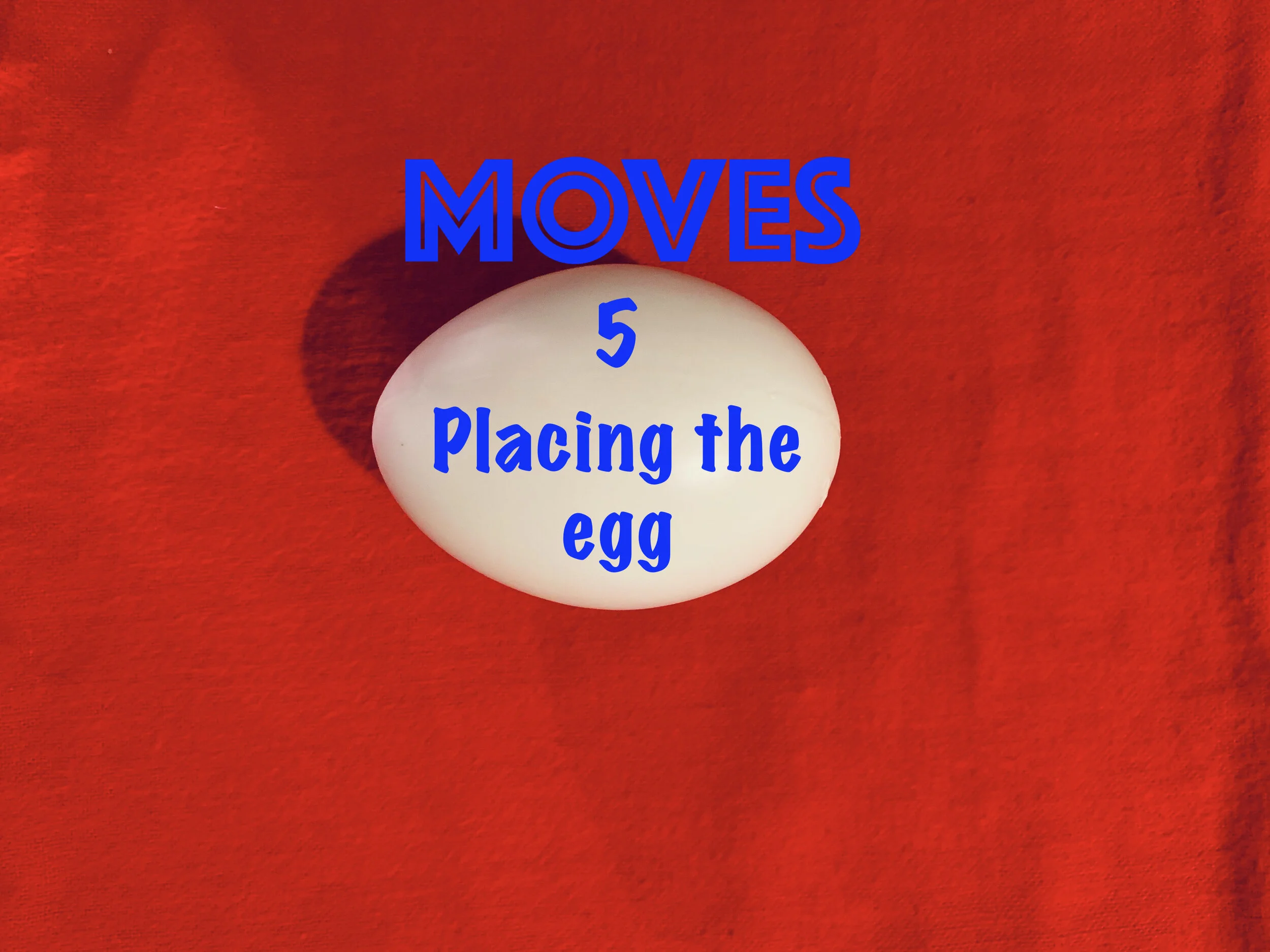 5 EGG MOVES TEMPLATE2  copy 4.jpeg