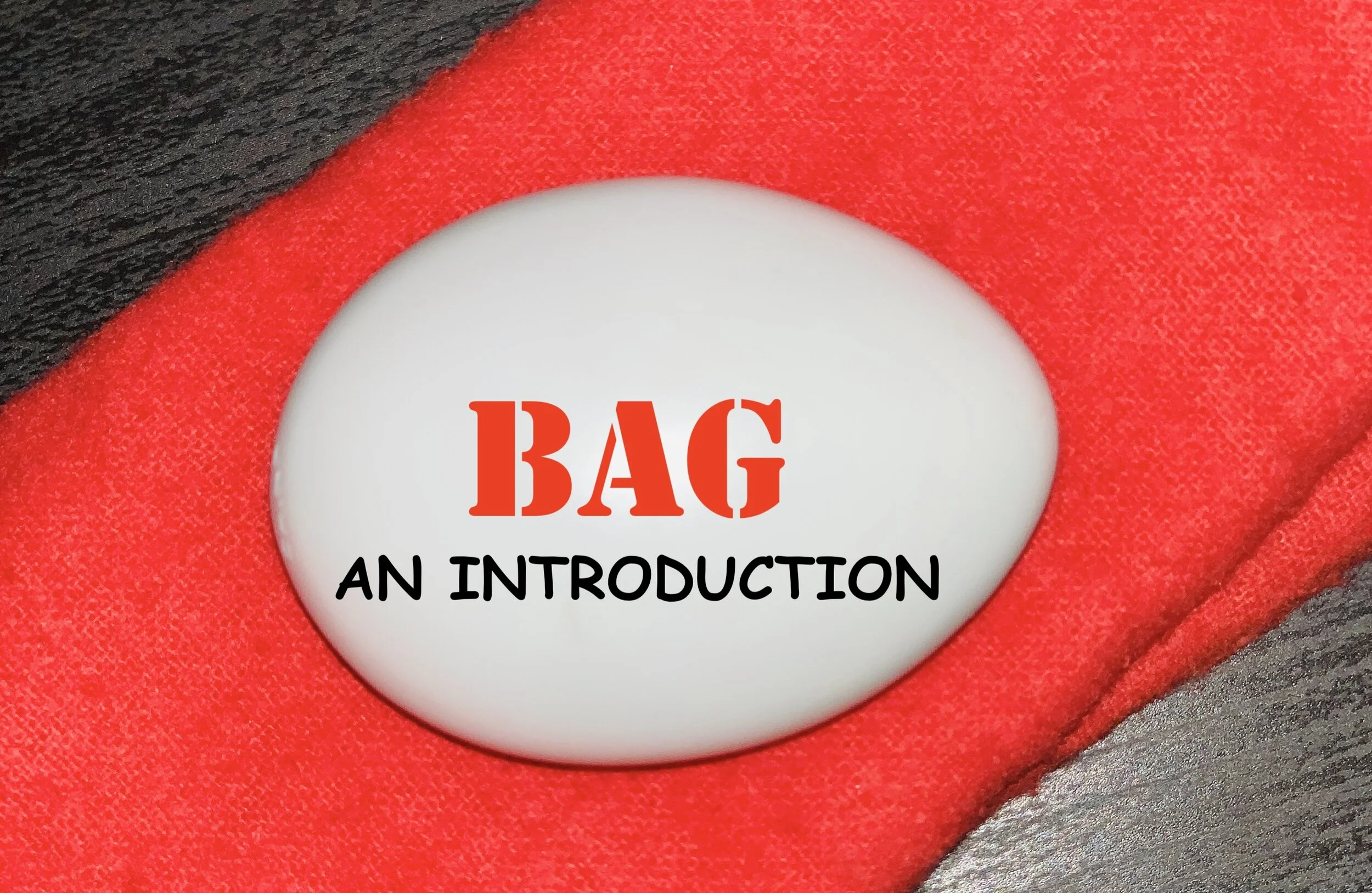 EGG BAG INTRODUCTIONS 2.jpg