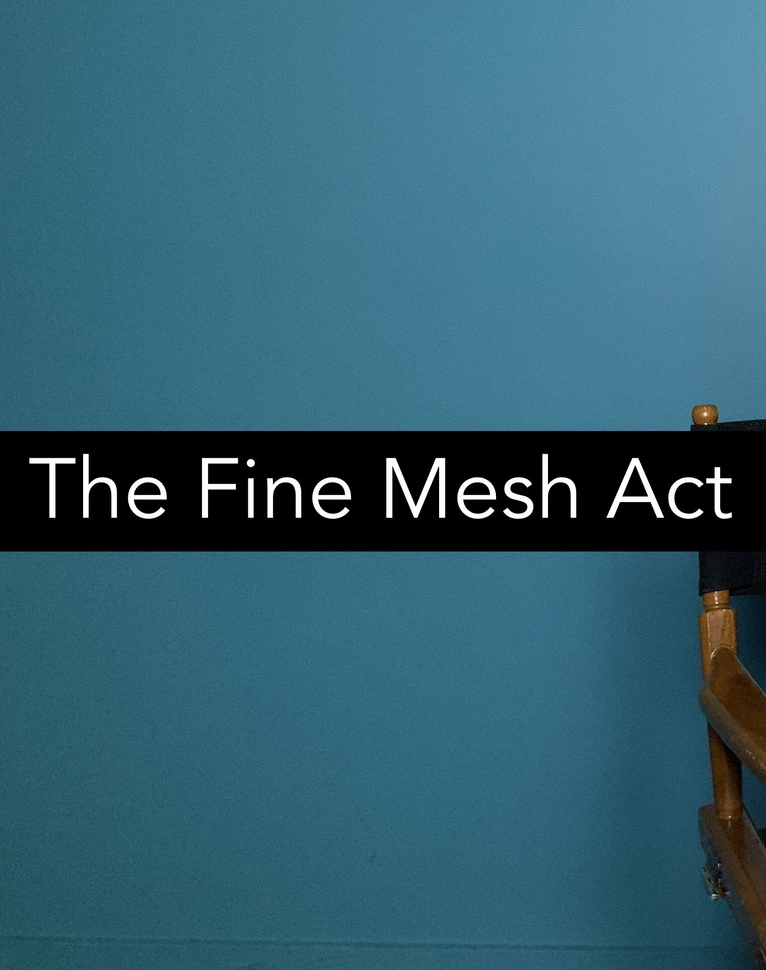 fine mesh copy 4.JPG