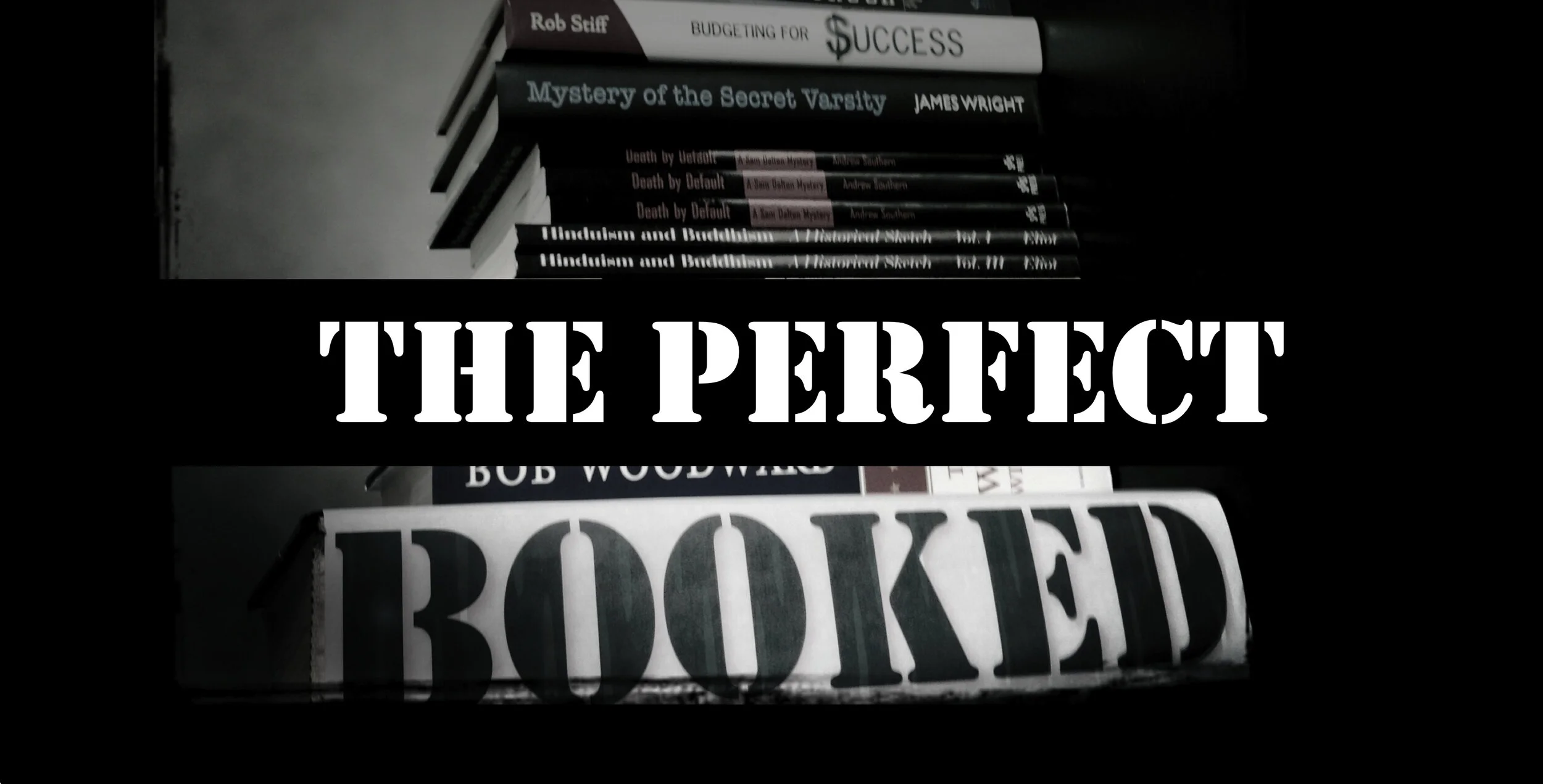 THE PERFECT BOOKEd copy 2.jpeg