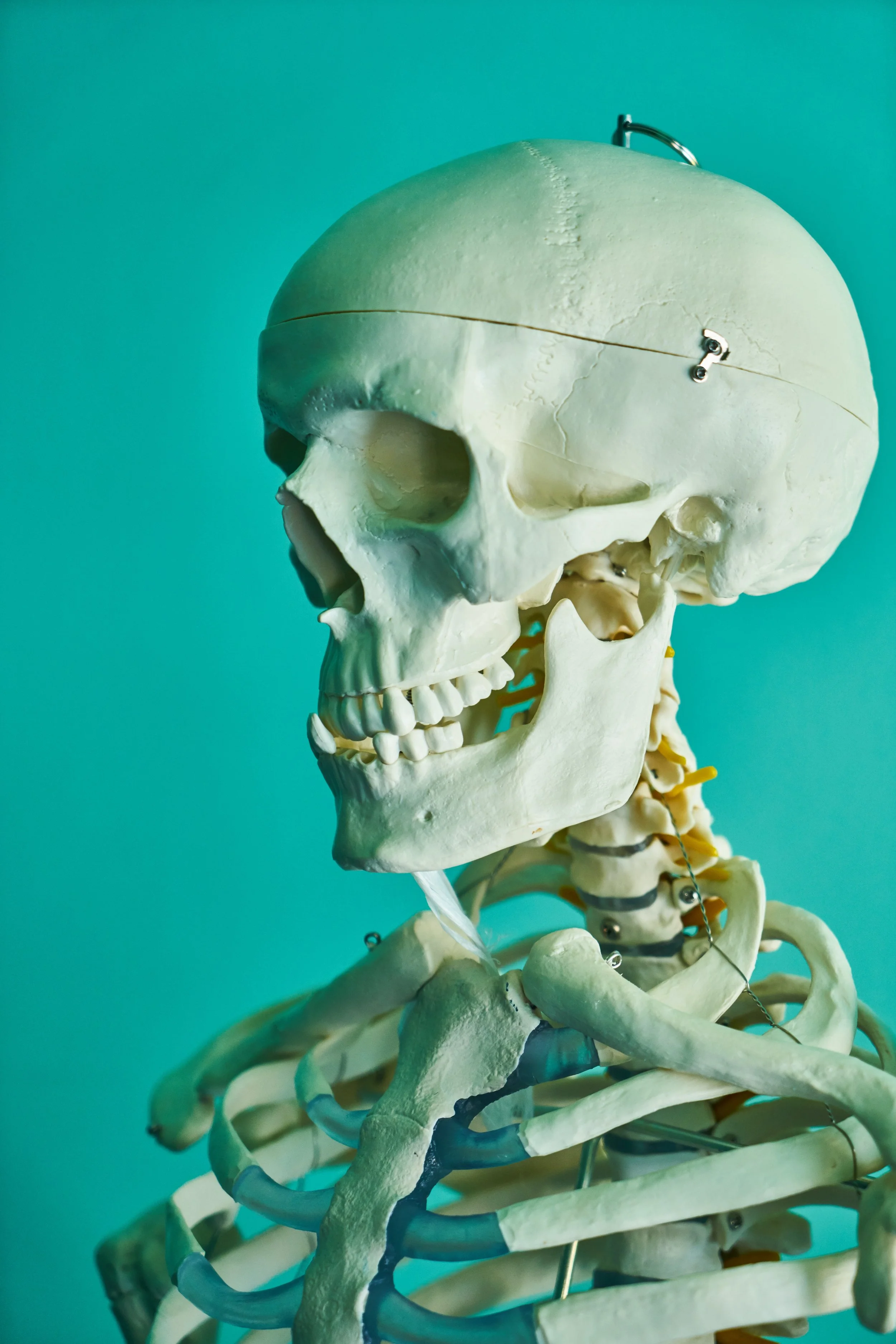 Ann Arbor Chiropractors and Ypsilanti Chiropractors Provide Relief for TMJD