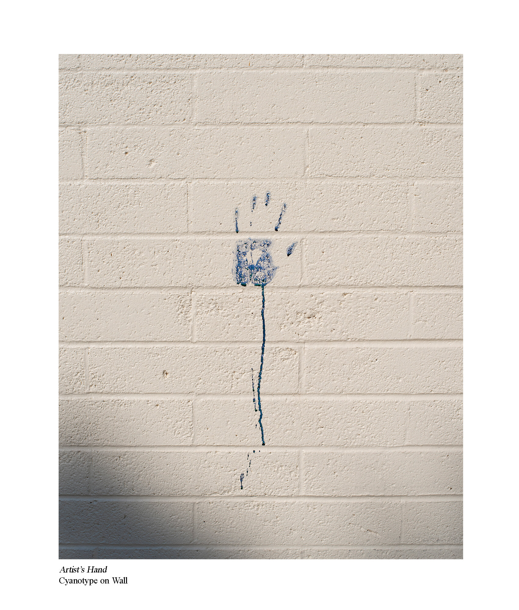 Artists hand.jpg