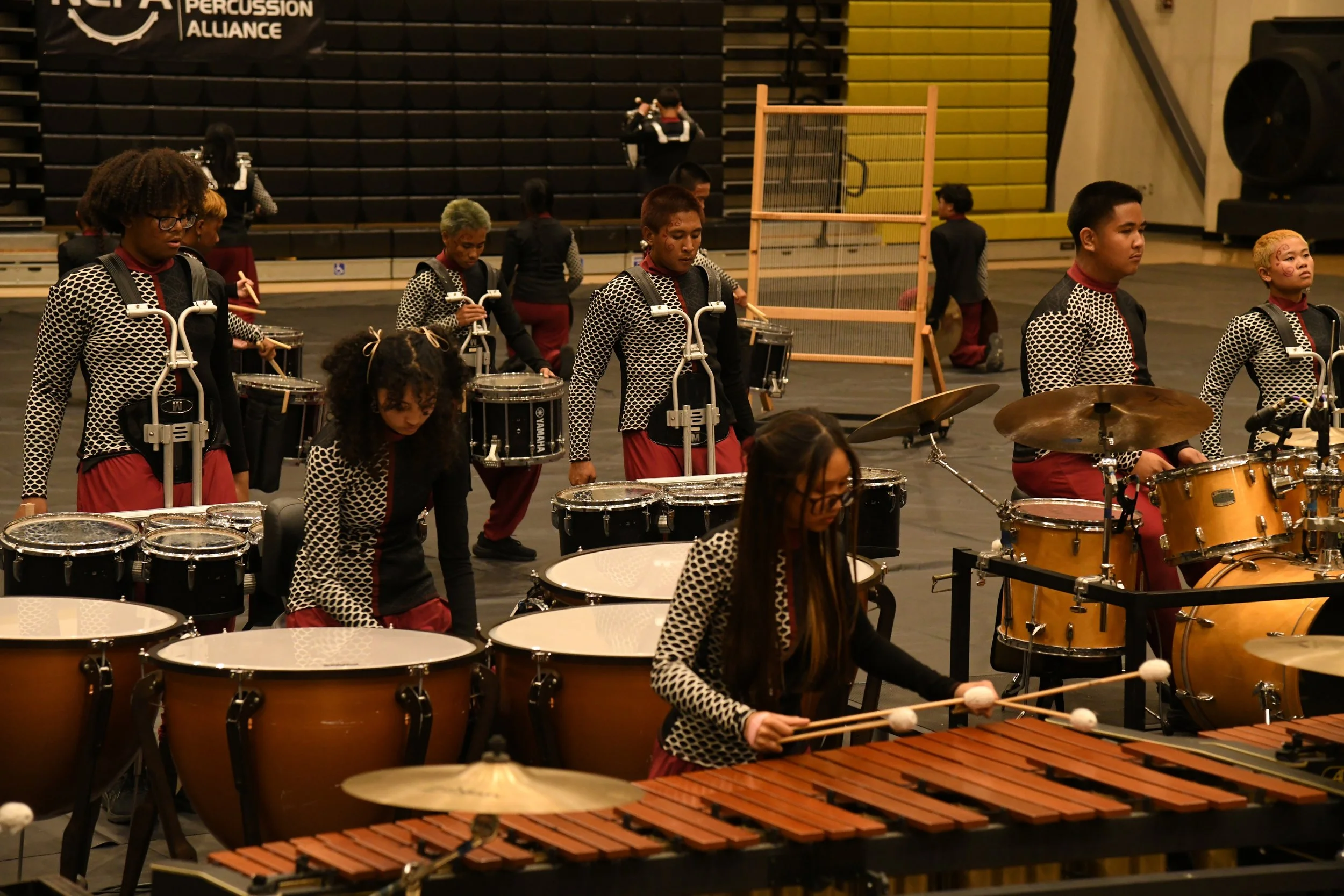 downsized web DSC_0335.JPG