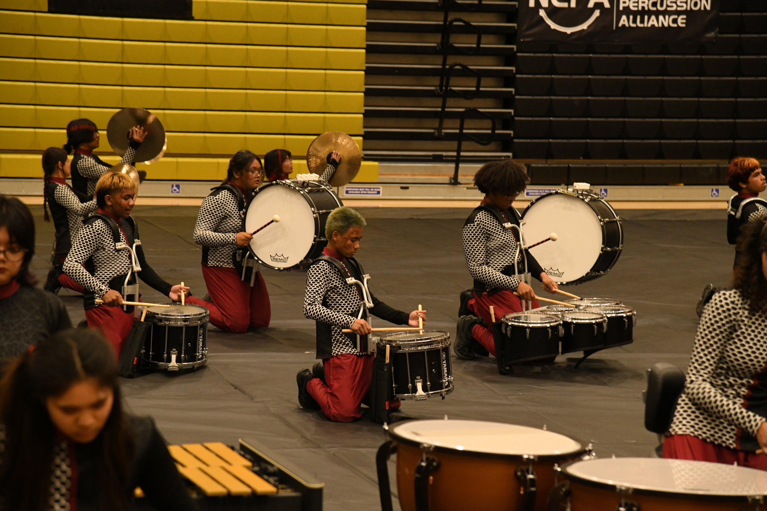 downsized DSC_0201.JPG