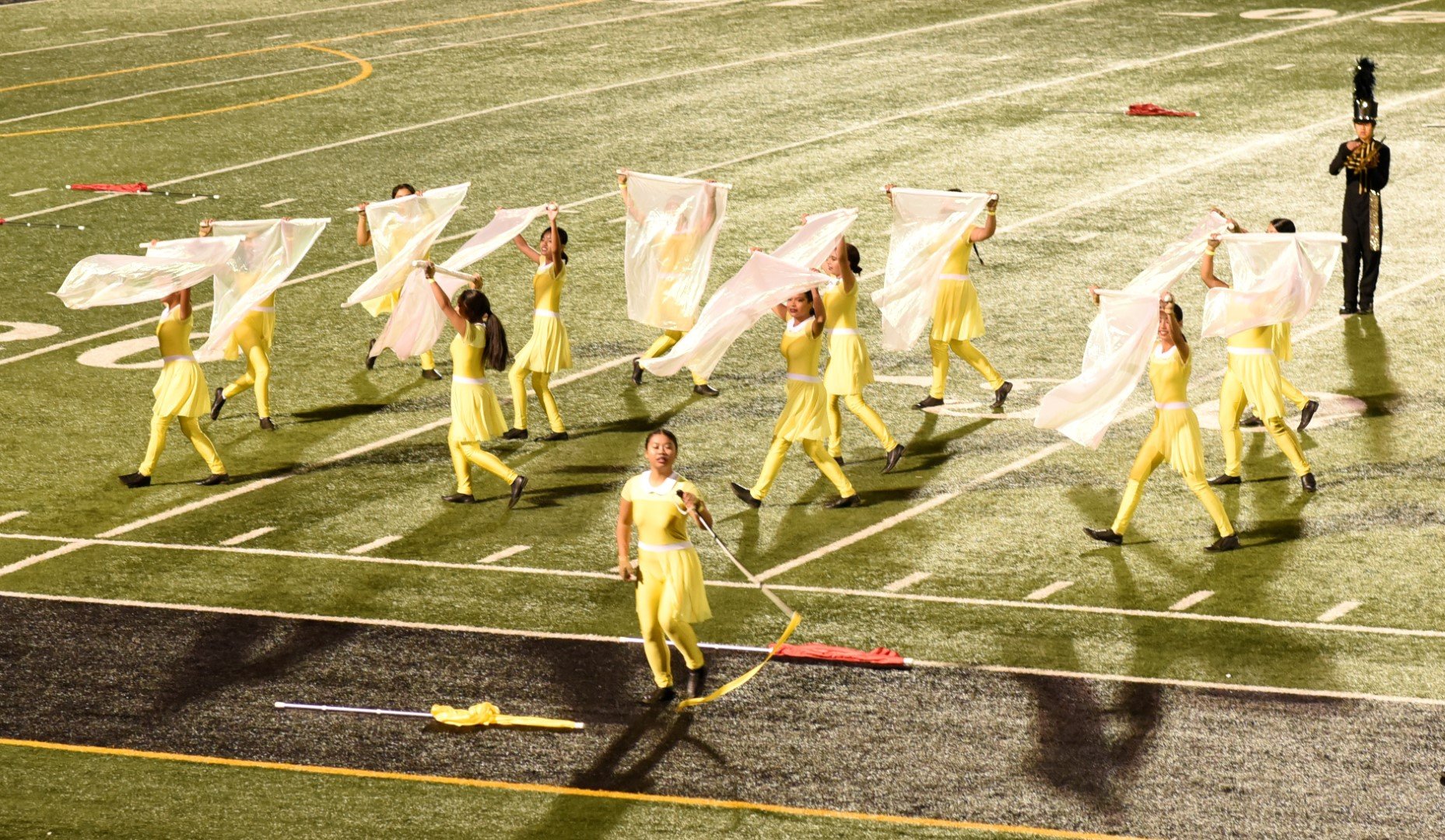 _D752677 (2) (Large).JPG