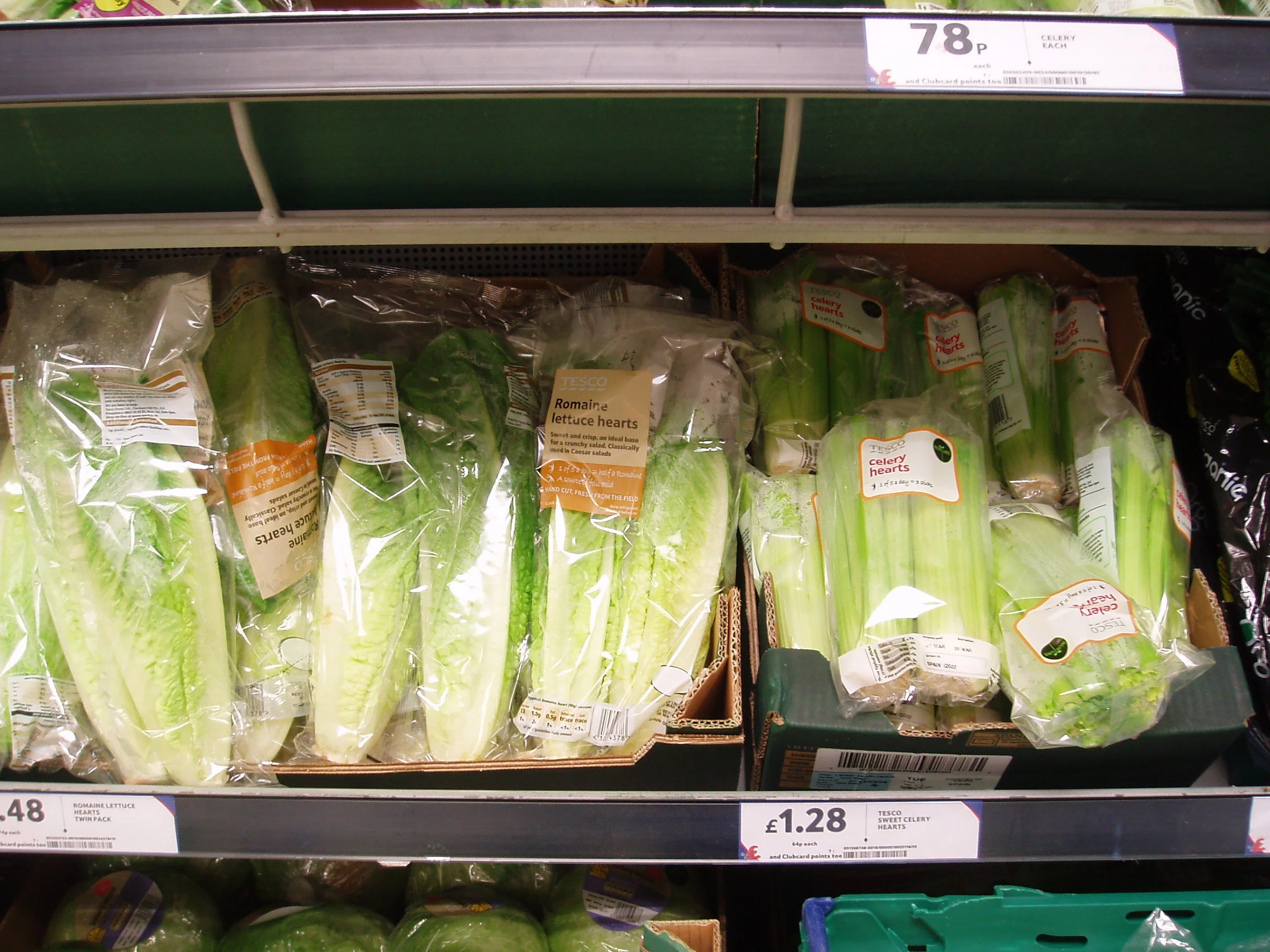 PLASTIC-FARM_TESCO_03.JPG