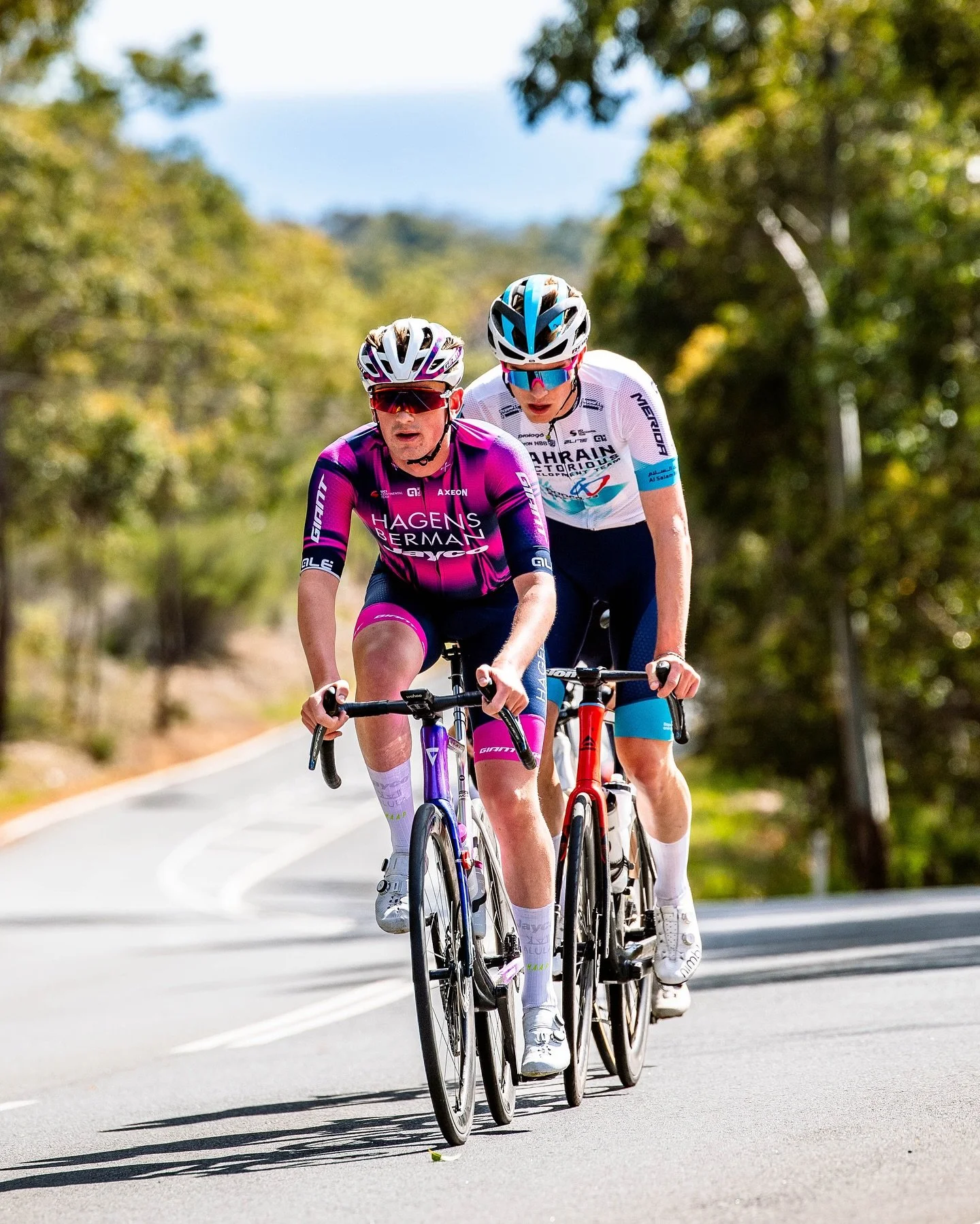 The forever champions of TOMR 🥹