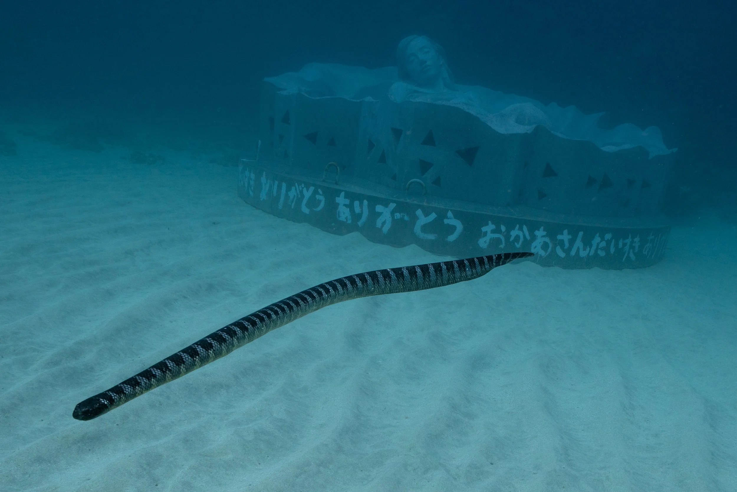 25Jason-deCaires-Taylor Design Tokunoshima-Japan Sculpture.jpg