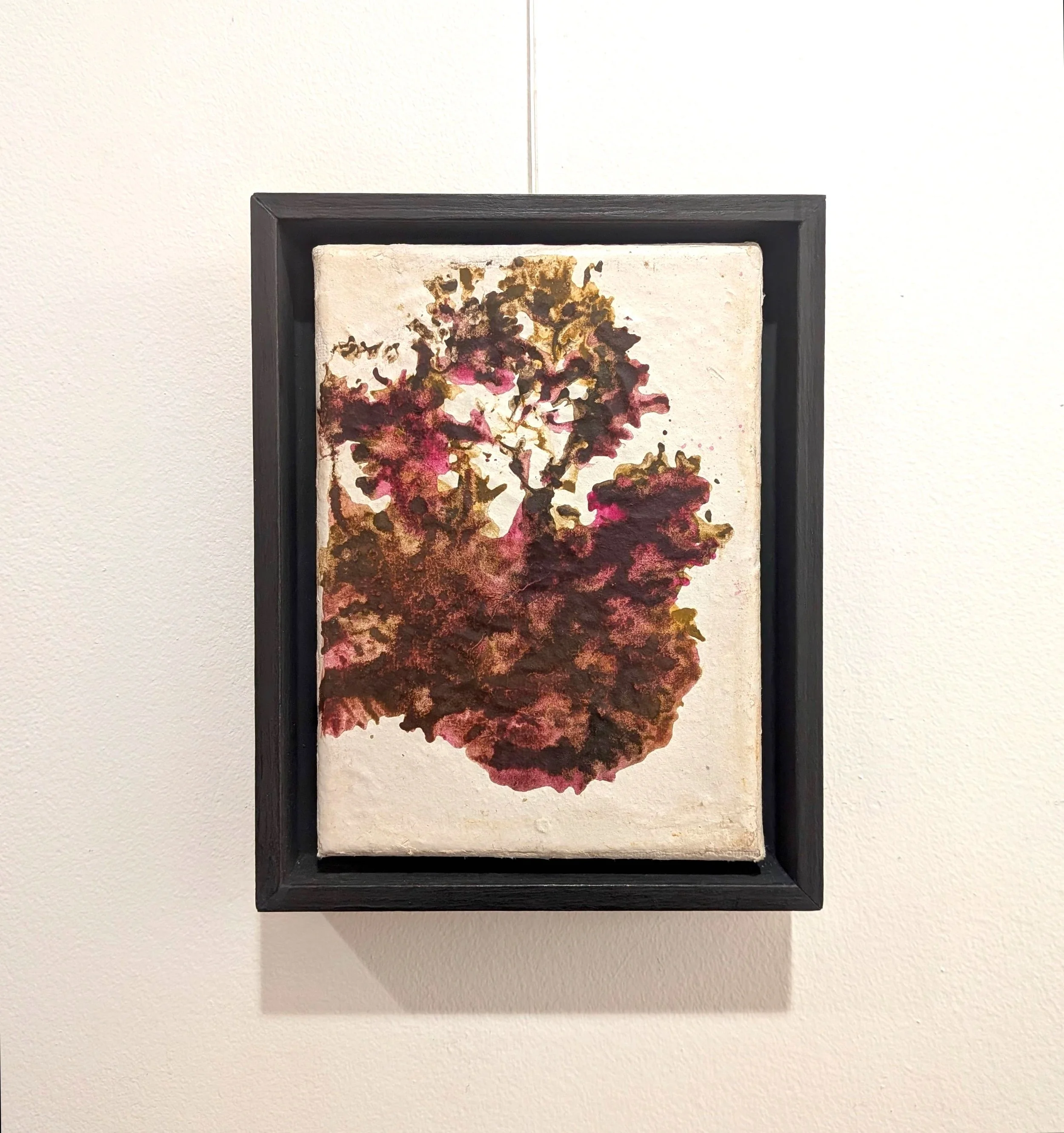 Seaweed Tree