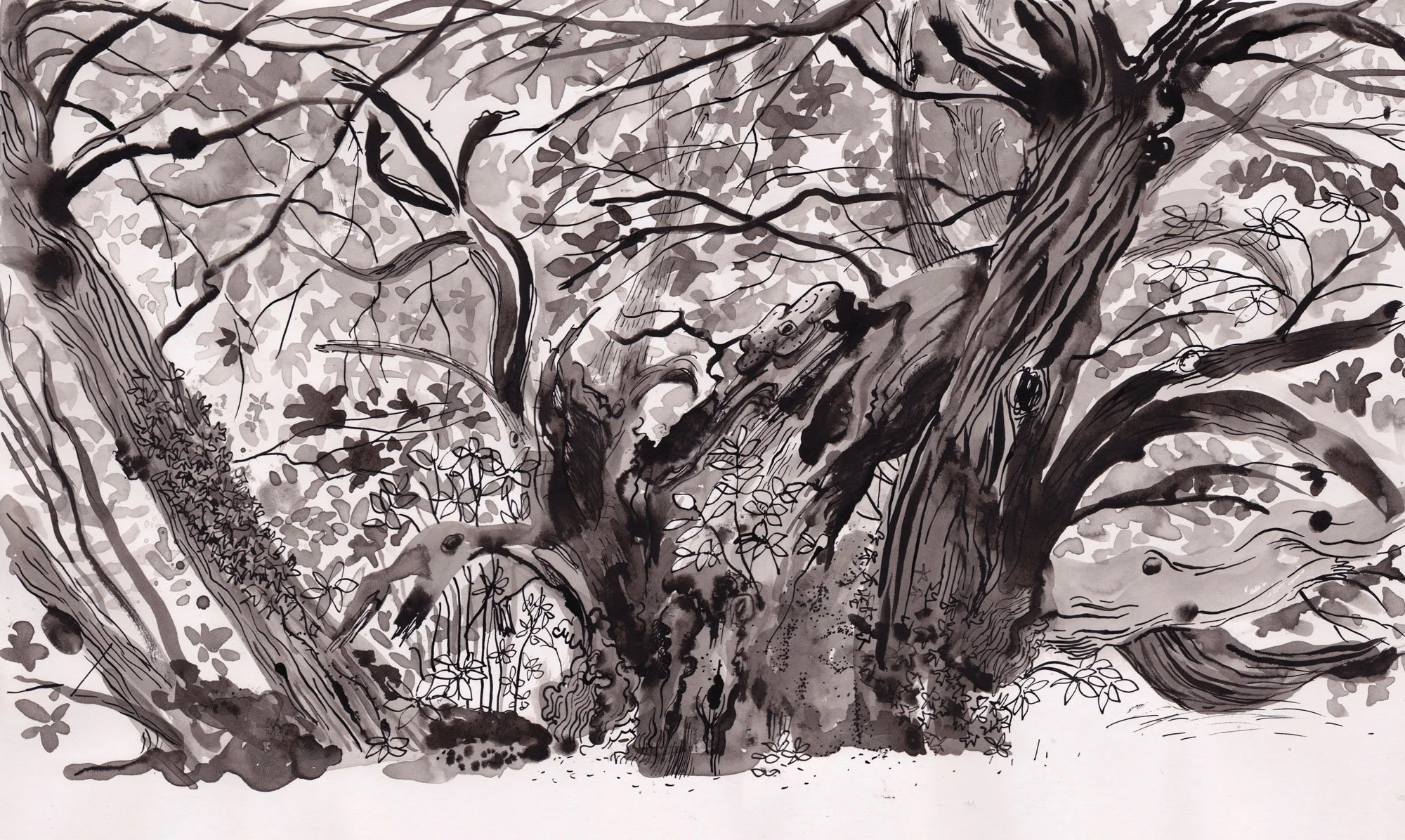 The Tortworth Chestnut
Wotton-under-Edge, Gloucestershire