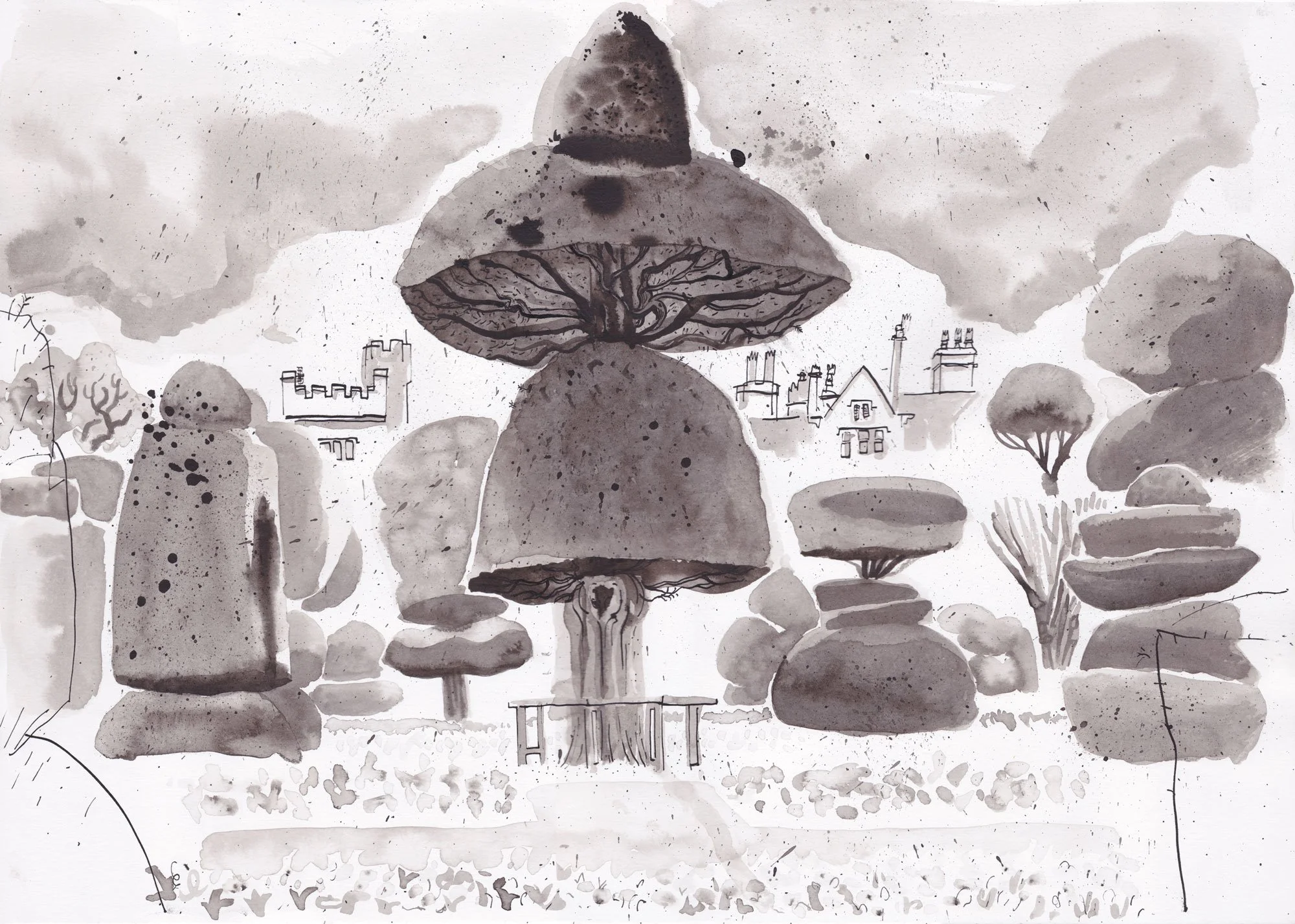 Umbrella Tree at Levens Hall
Kendal, Cumbria