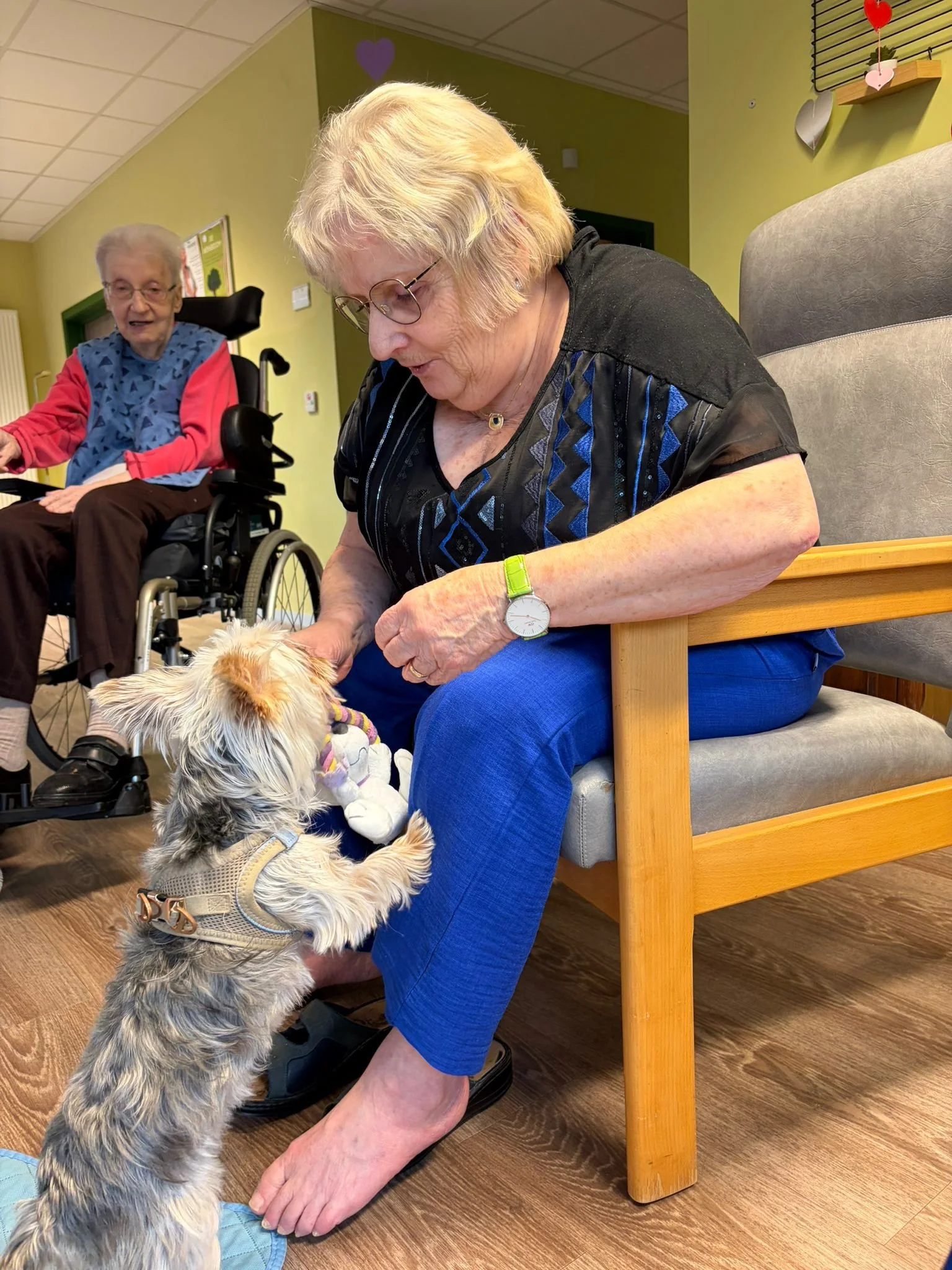 WhatsApp Image 2026-02-26 at 12.57.10 (1).jpeg