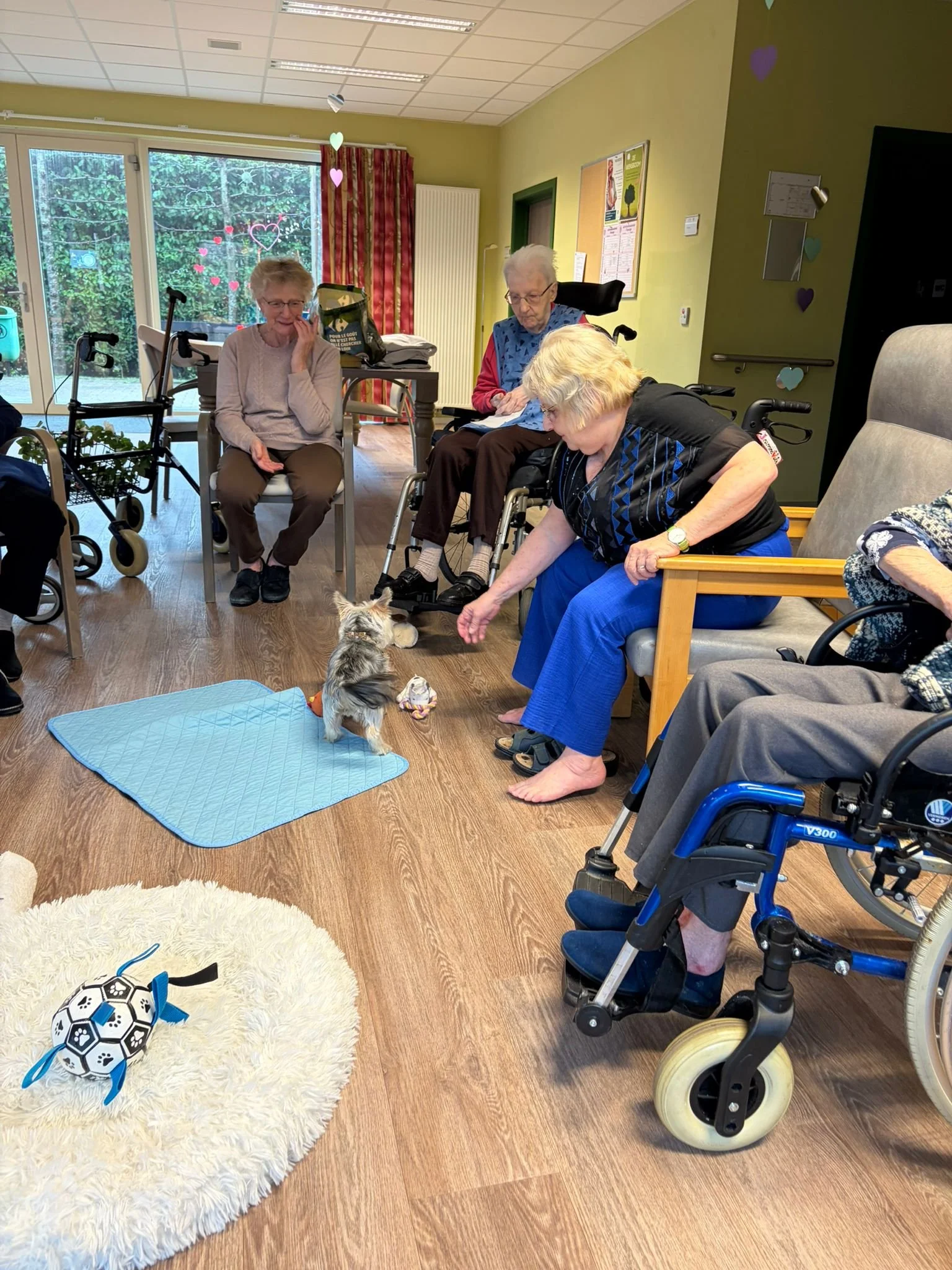 WhatsApp Image 2026-02-26 at 12.57.08.jpeg