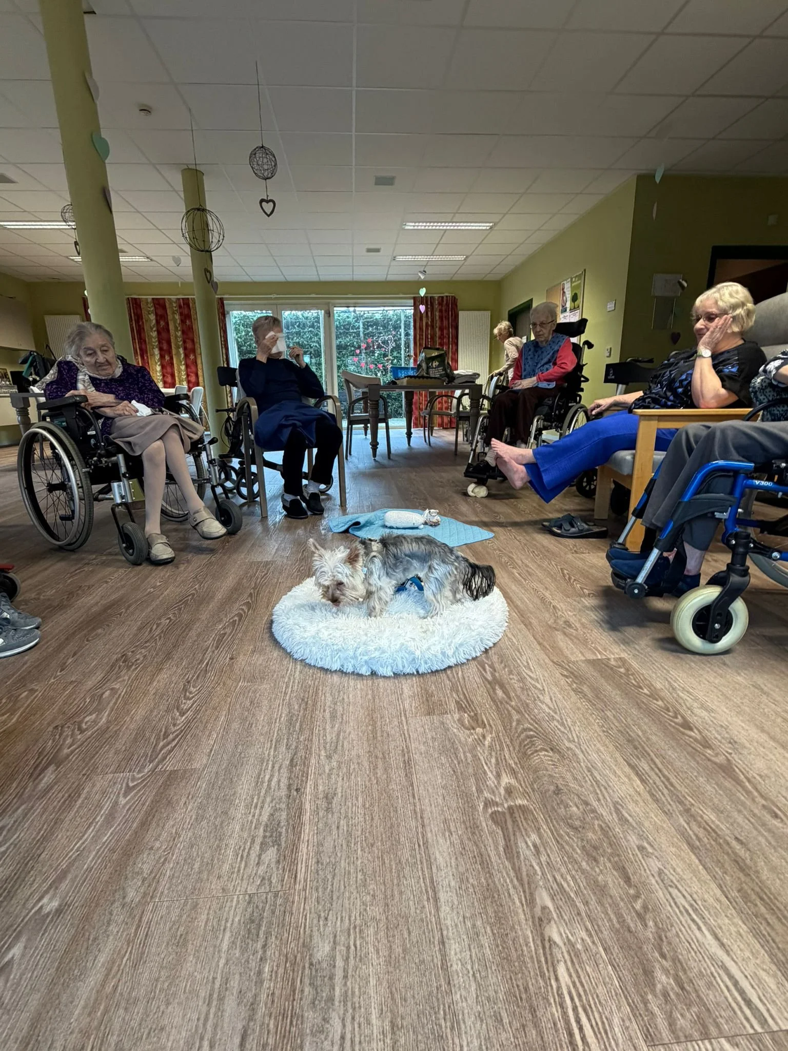 WhatsApp Image 2026-02-26 at 12.57.07 (5).jpeg