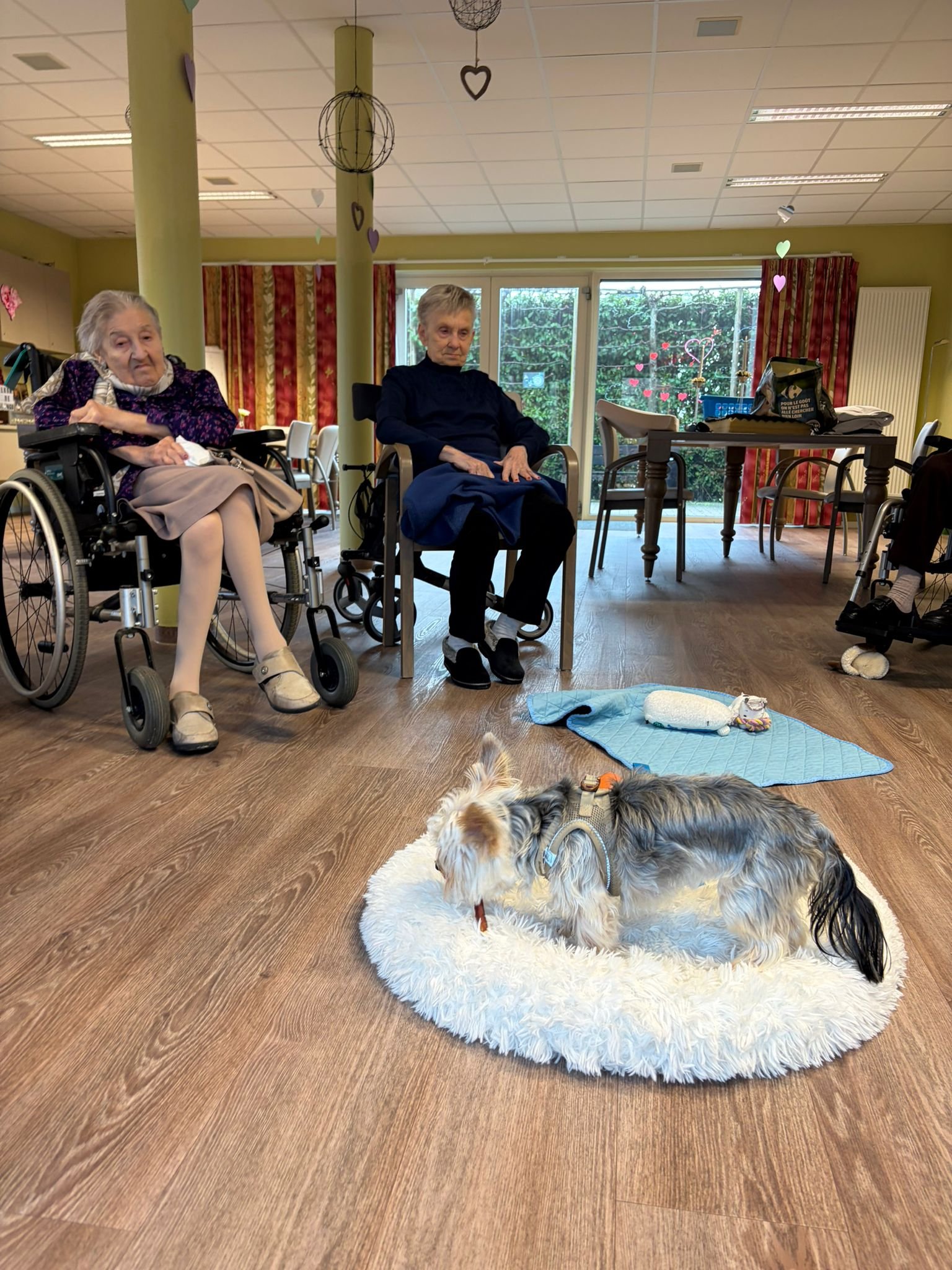 WhatsApp Image 2026-02-26 at 12.57.07 (3).jpeg