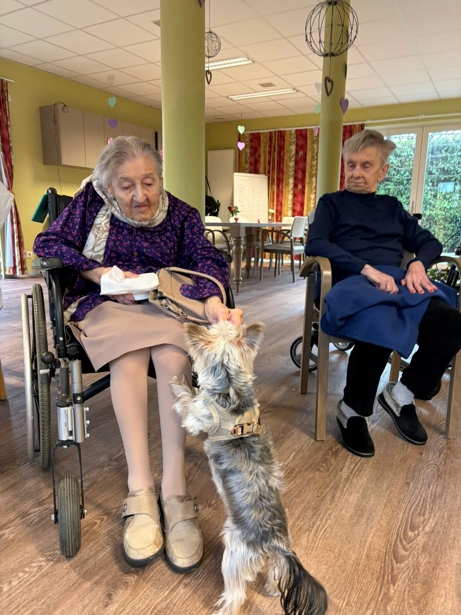 WhatsApp Image 2026-02-26 at 12.57.10 (2).jpeg