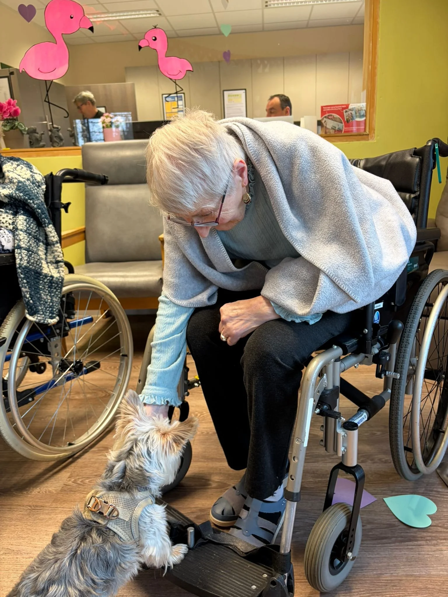 WhatsApp Image 2026-02-26 at 12.57.11 (1).jpeg