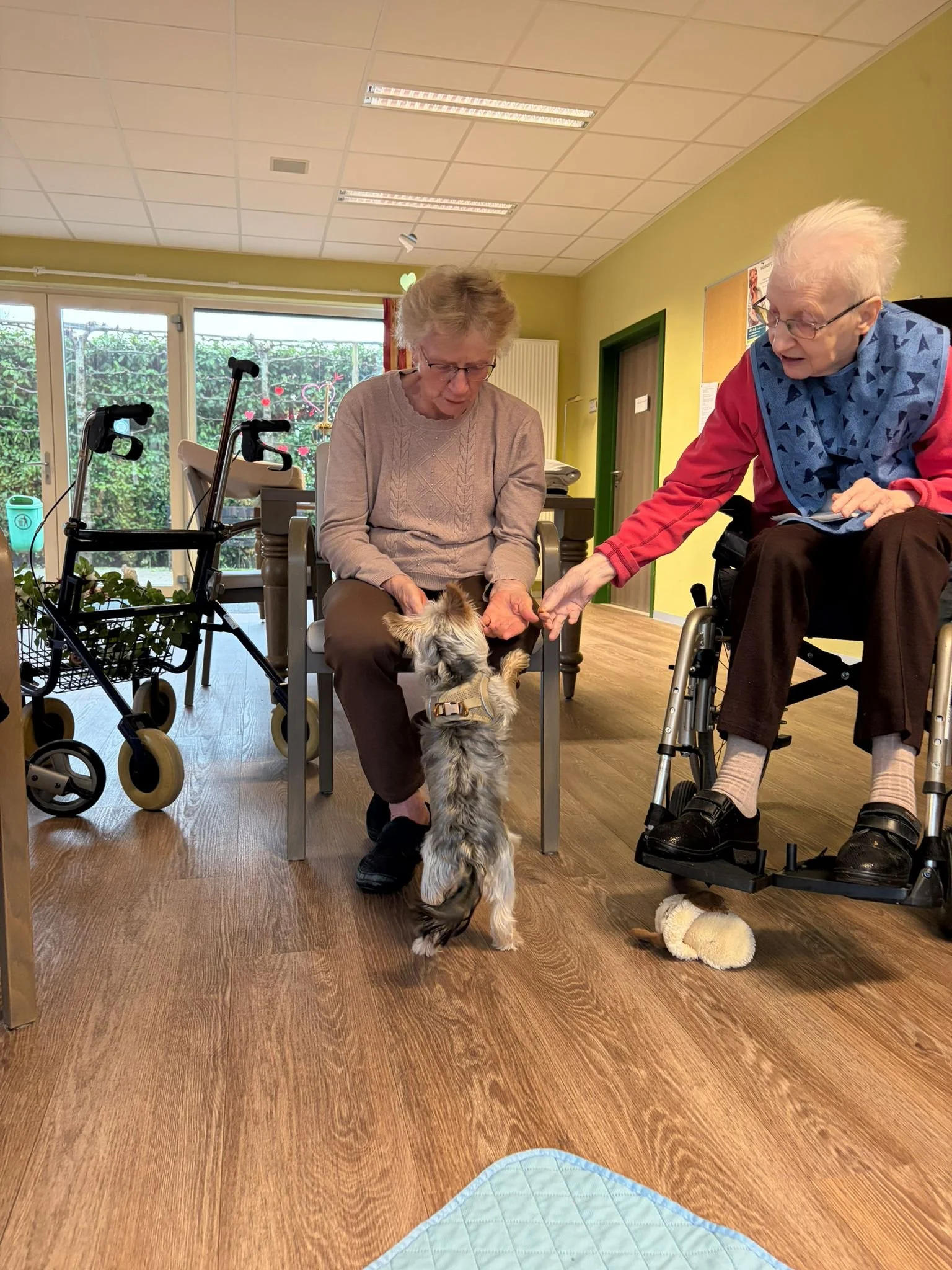 WhatsApp Image 2026-02-26 at 12.57.11.jpeg