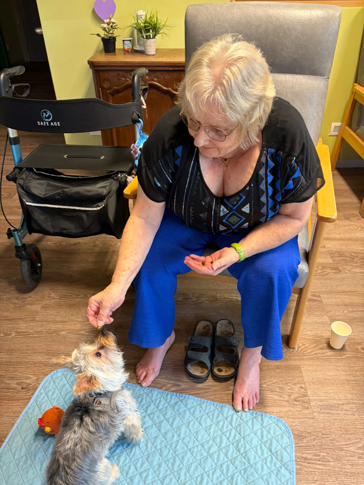 WhatsApp Image 2026-02-26 at 12.57.12.jpeg