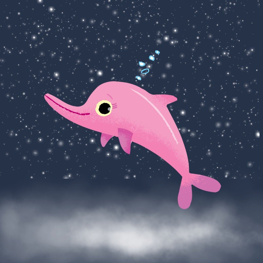 &quot;It's your uniqueness that makes you special!&quot; - Madison, the Asian Pink Dolphin living in the ocean (different to the Amazon River dolphin). #dolphin #dolphinlove #RepublicOfCatsMovie #VanishingUtopia #islandart #starrystarrynight #joinme