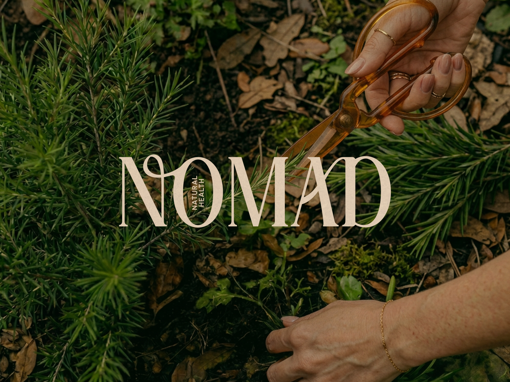 naturopath brand identity