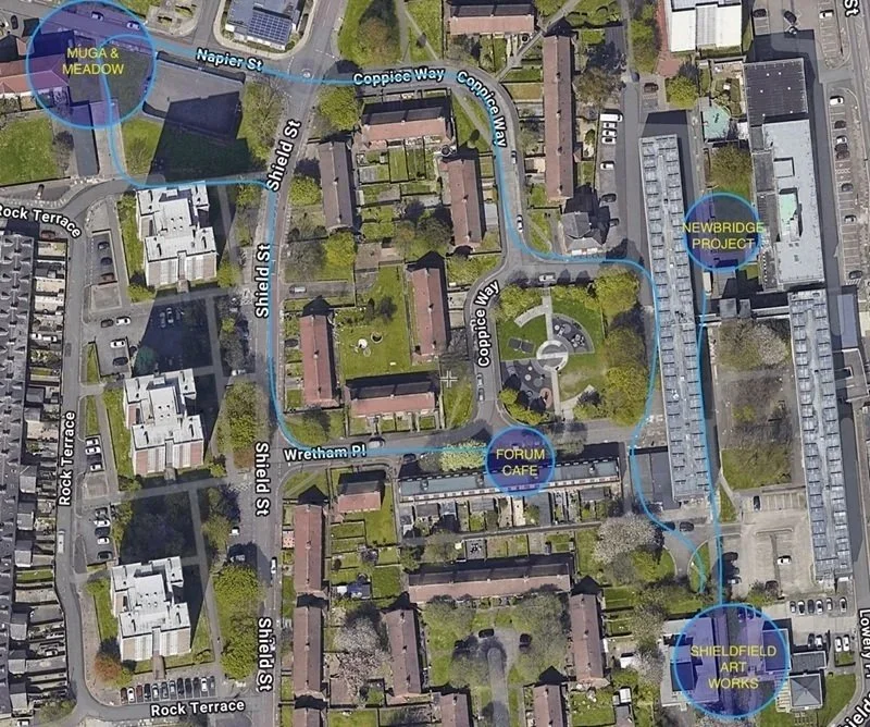 Our Community Safari Zine