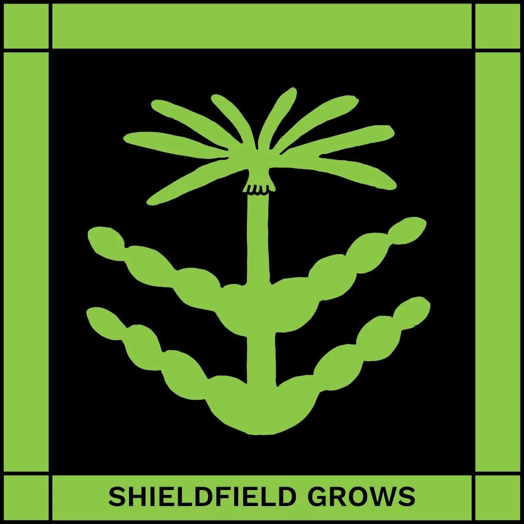 Come and help us get the SAW garden ready for its first-ever opening as part of the National Garden Scheme. We will be tidying everything up to make it look its best!

📅 Garden Blitz :  Wednesday 03 June | 2pm-4pm

📅 Opening for the National Garden