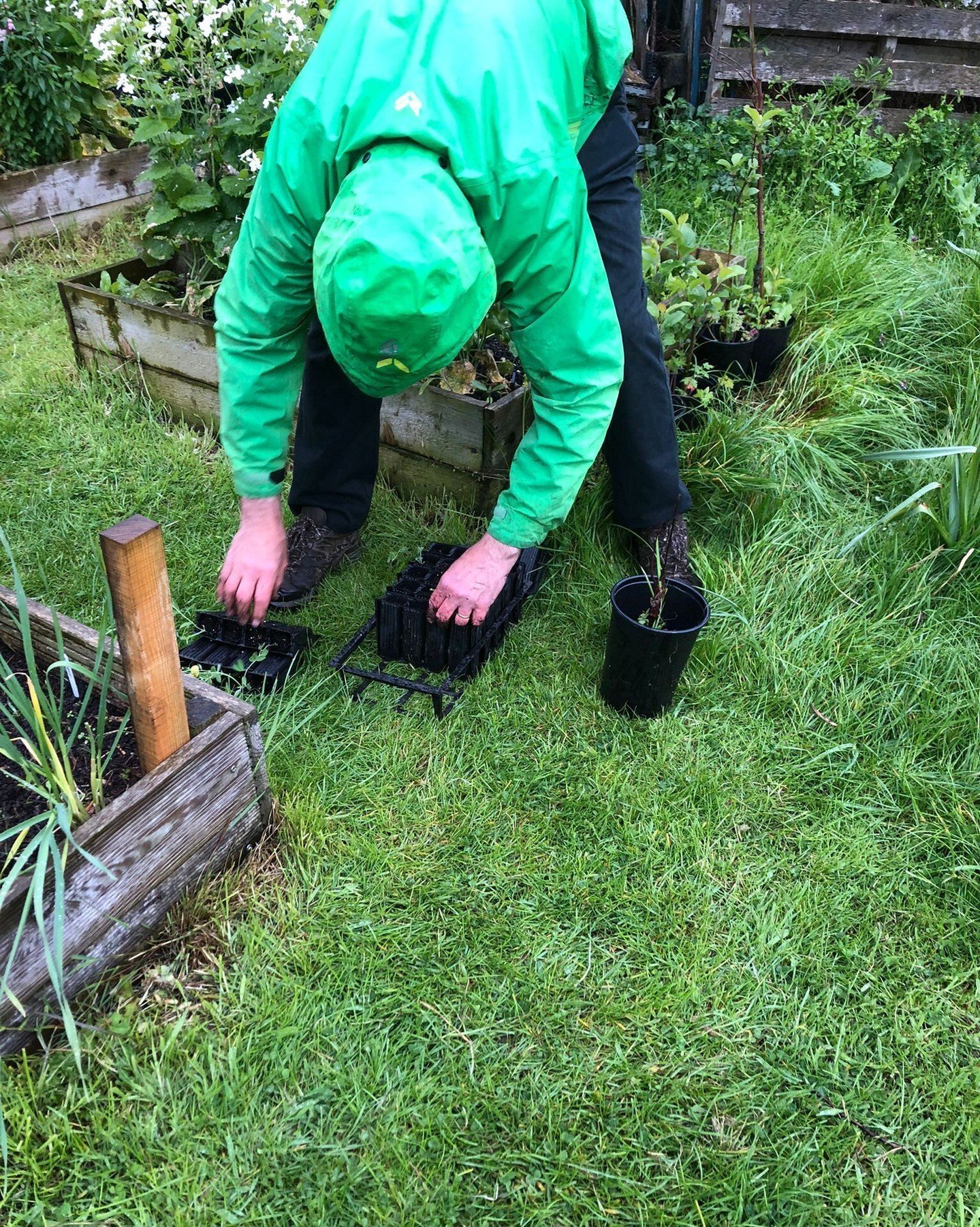 On the first Wednesday of the month, Shieldfield growers gather at SAW for a bring and share lunch after our regular growing session. Come along, rain or shine, we'll have tea and coffee on hand!

📅 Regular Growing Session | 10am-12pm
📅 Lettuce Eat