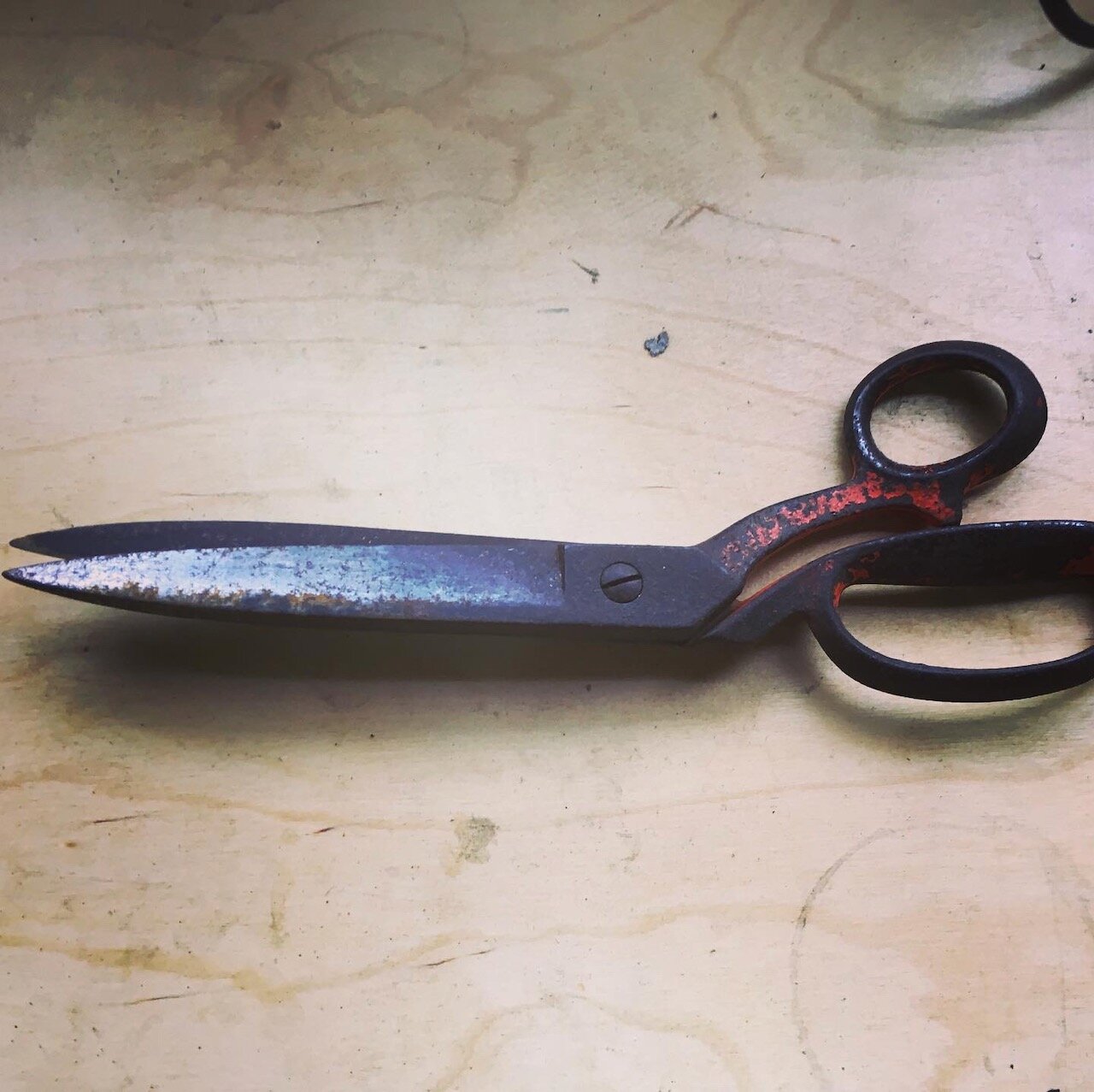 scissors - 2.jpeg
