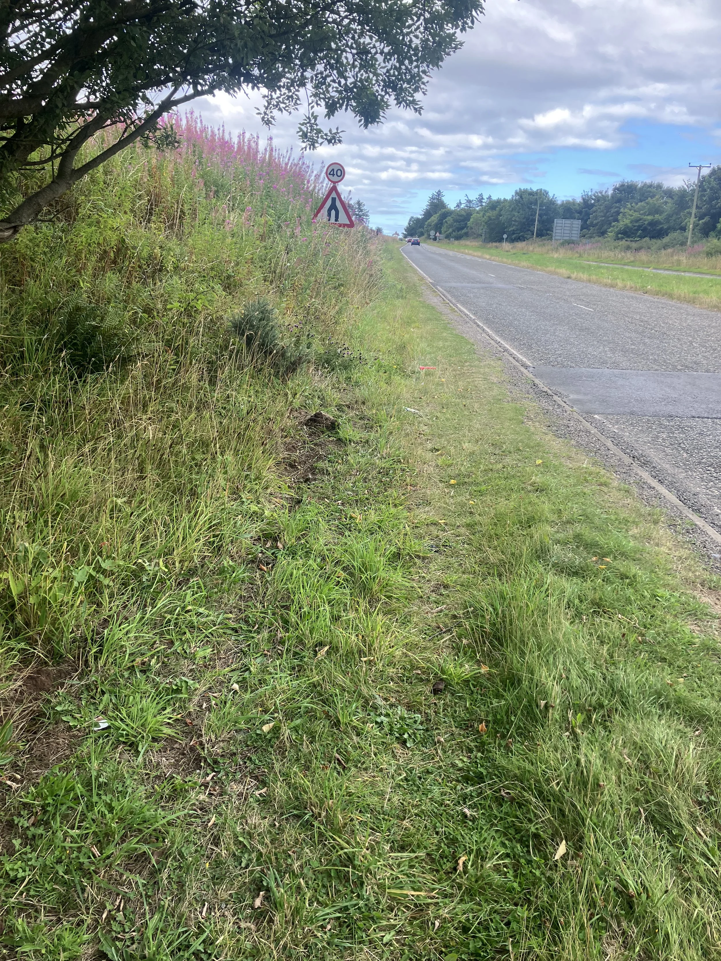A further view down the side of the A92 which shows the path slightly more clearly