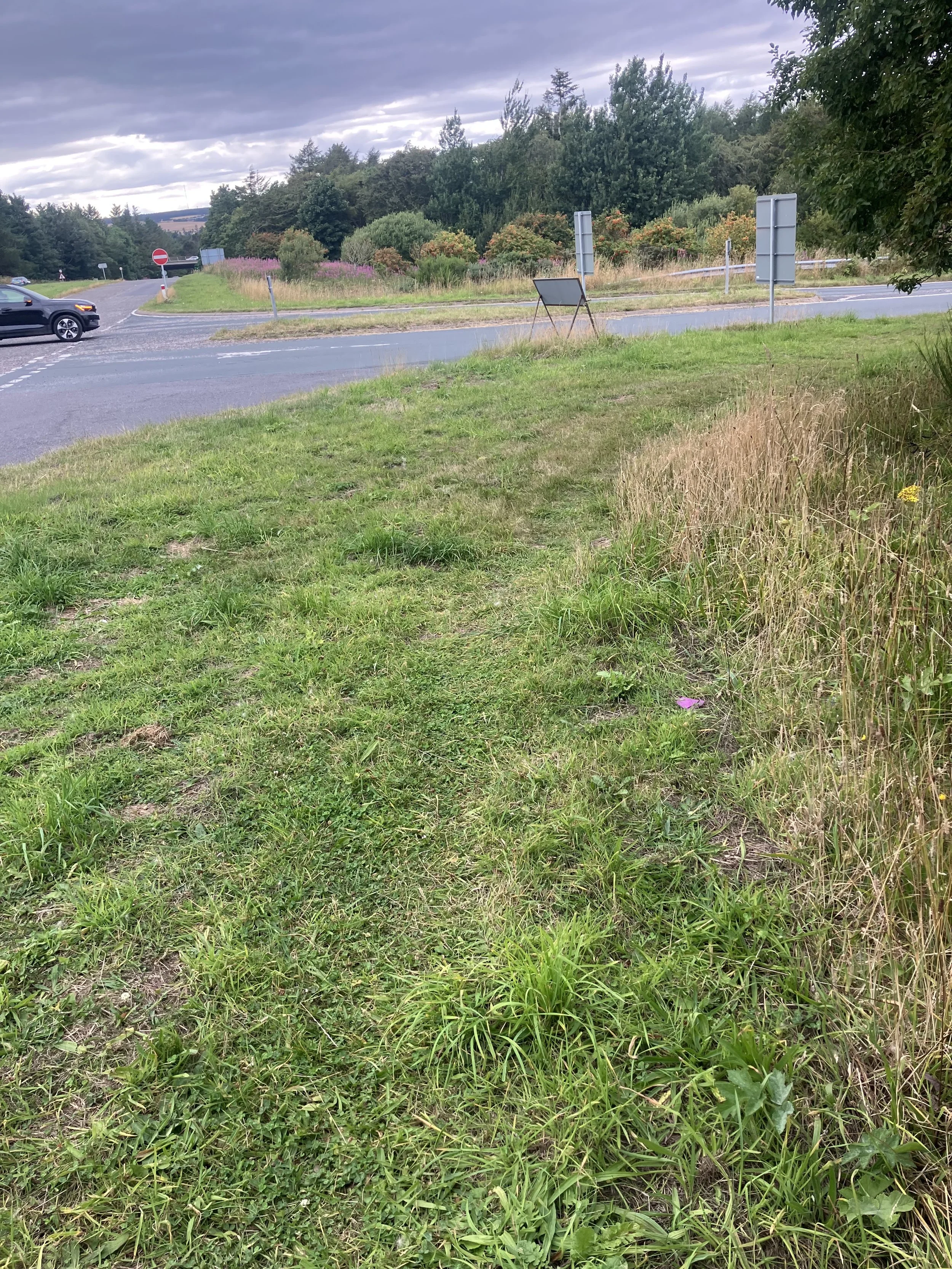 This is the view down the verge 

The path isn't quite as obvious from this angle
