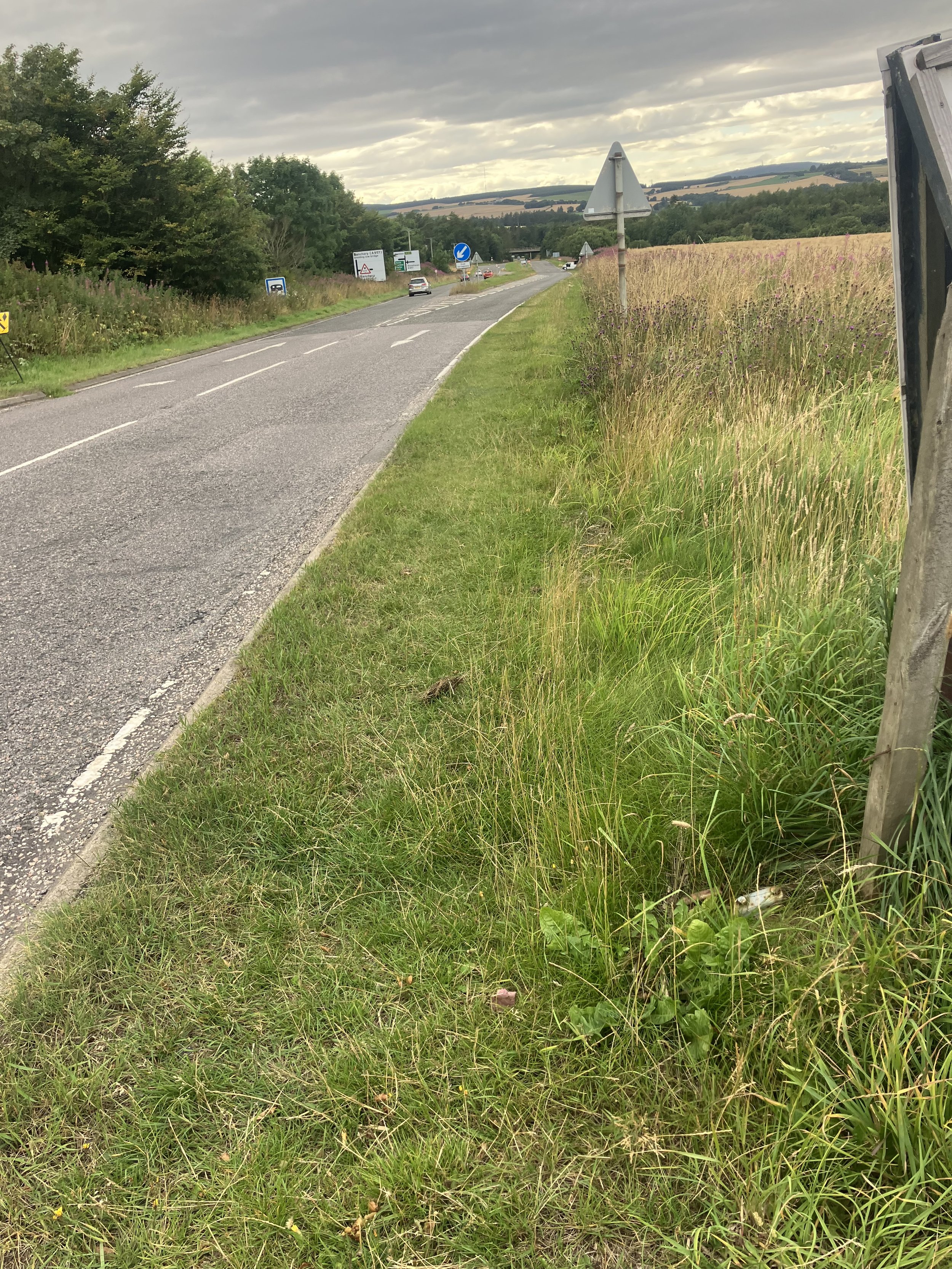 A view from the small piece of tarmac near the fibreglass horse which I use as a safe heaven before crossing over