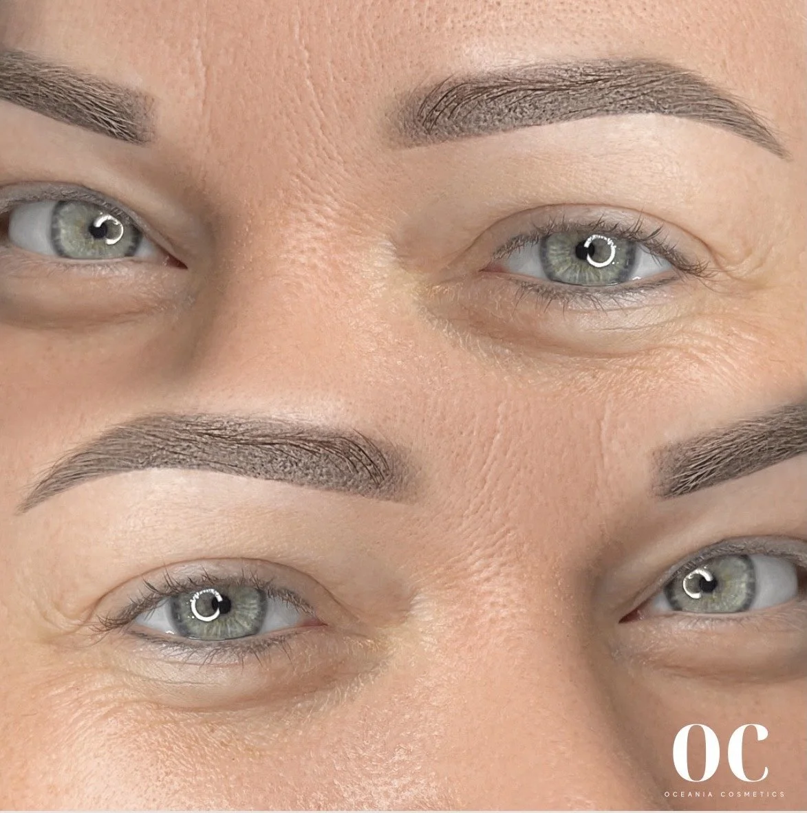 oc brows 7.JPG