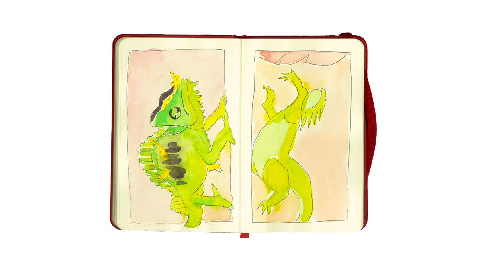 cameleon.png