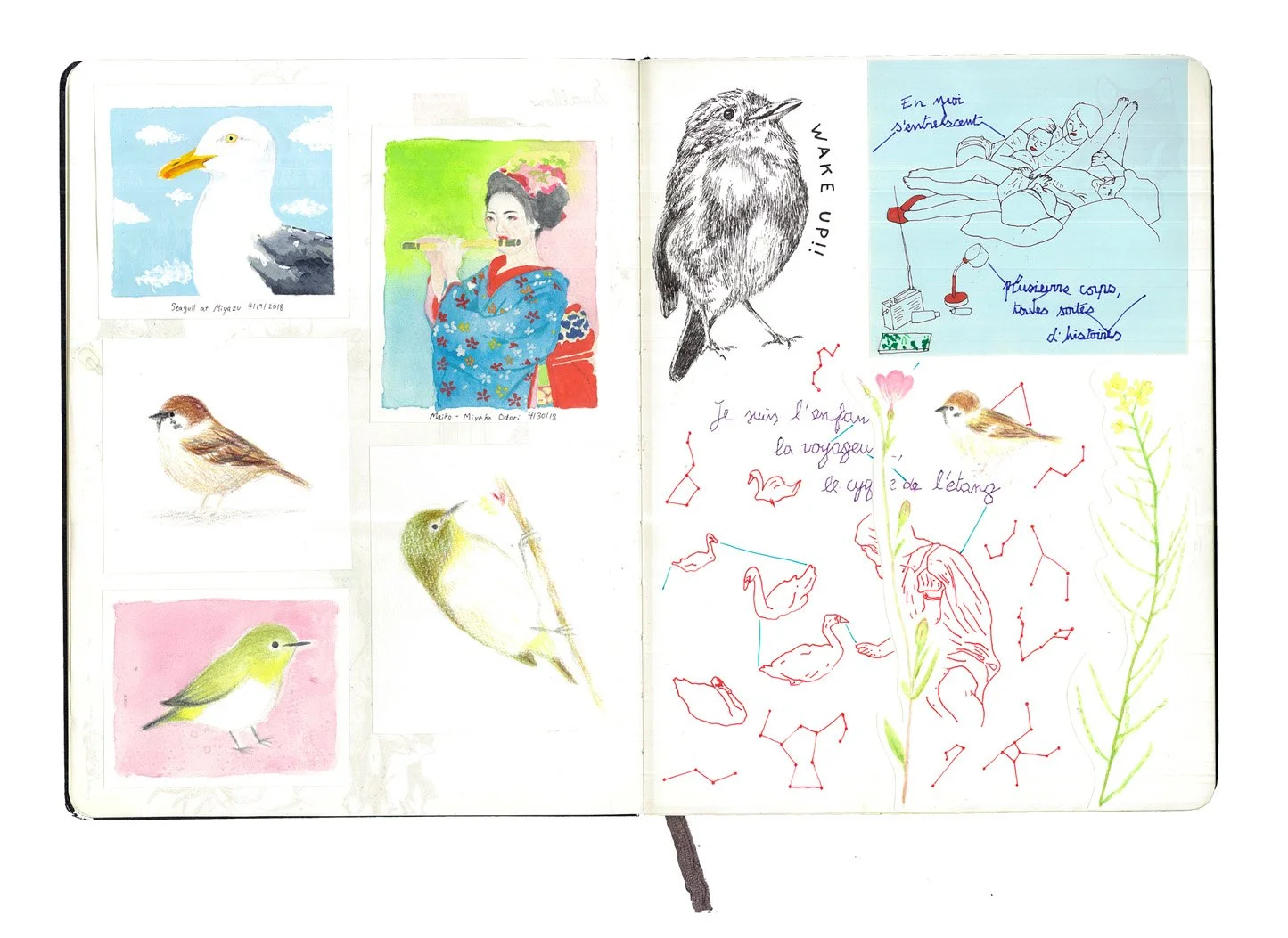 Artboard 3.jpg