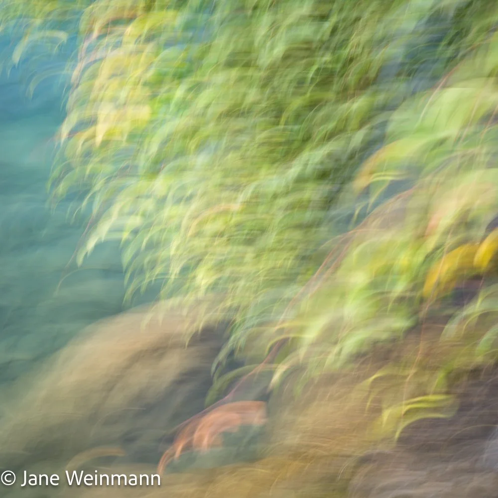 Fluid Shores 7_Copyright Jane Weinmann.jpg