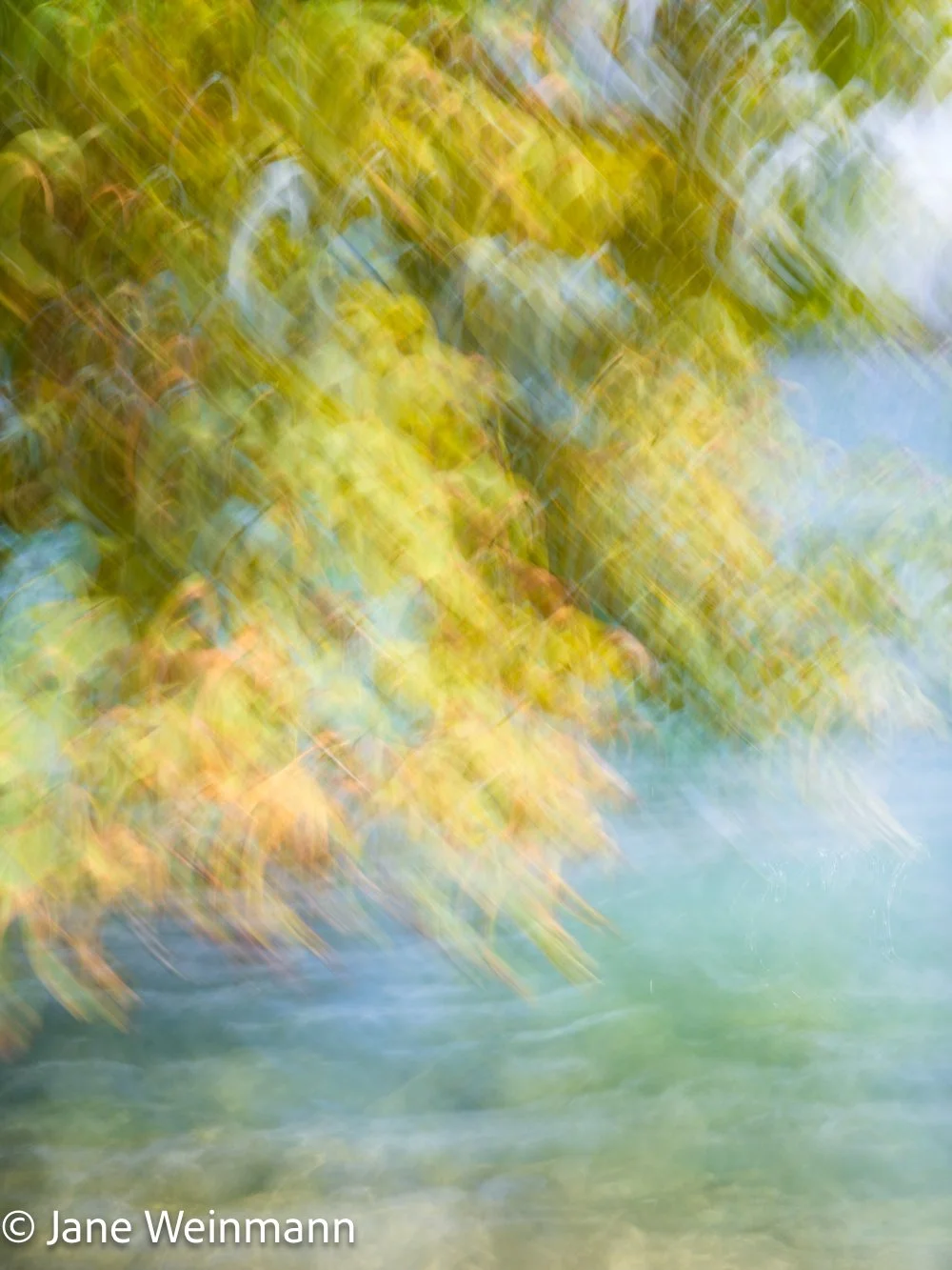 Fluid Shores 1_Copyright Jane Weinmann.jpg