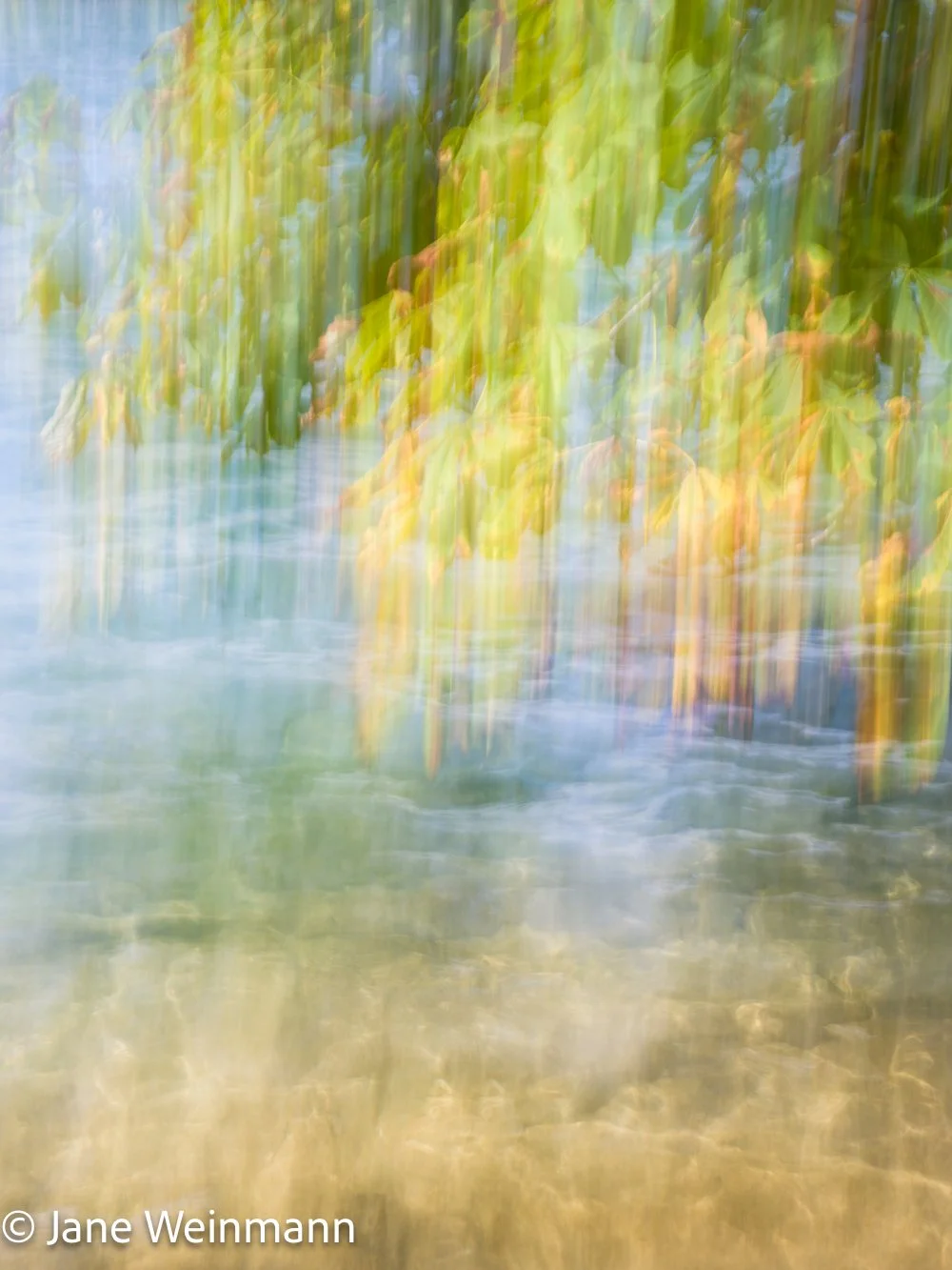 Fluid Shores 4_Copyright Jane Weinmann.jpg