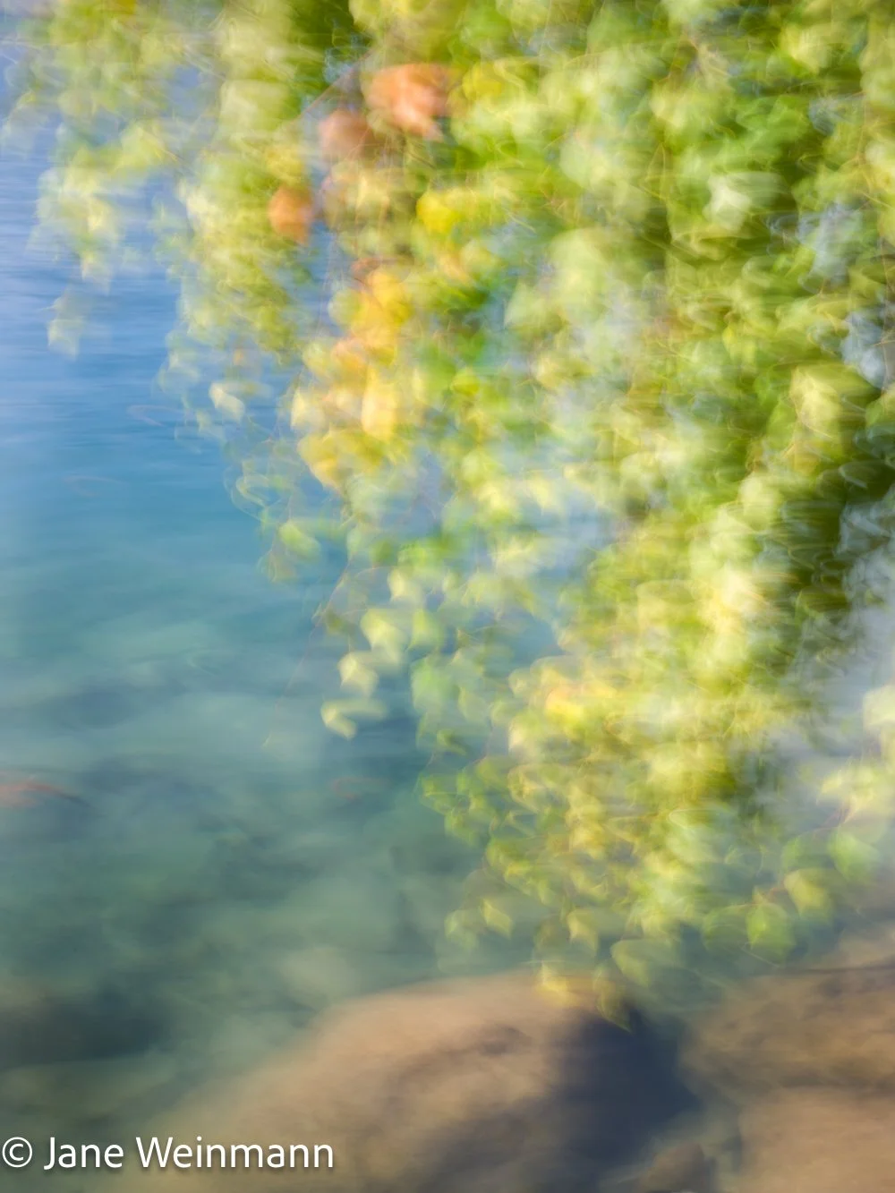 Fluid Shores 2_Copyright Jane Weinmann.jpg